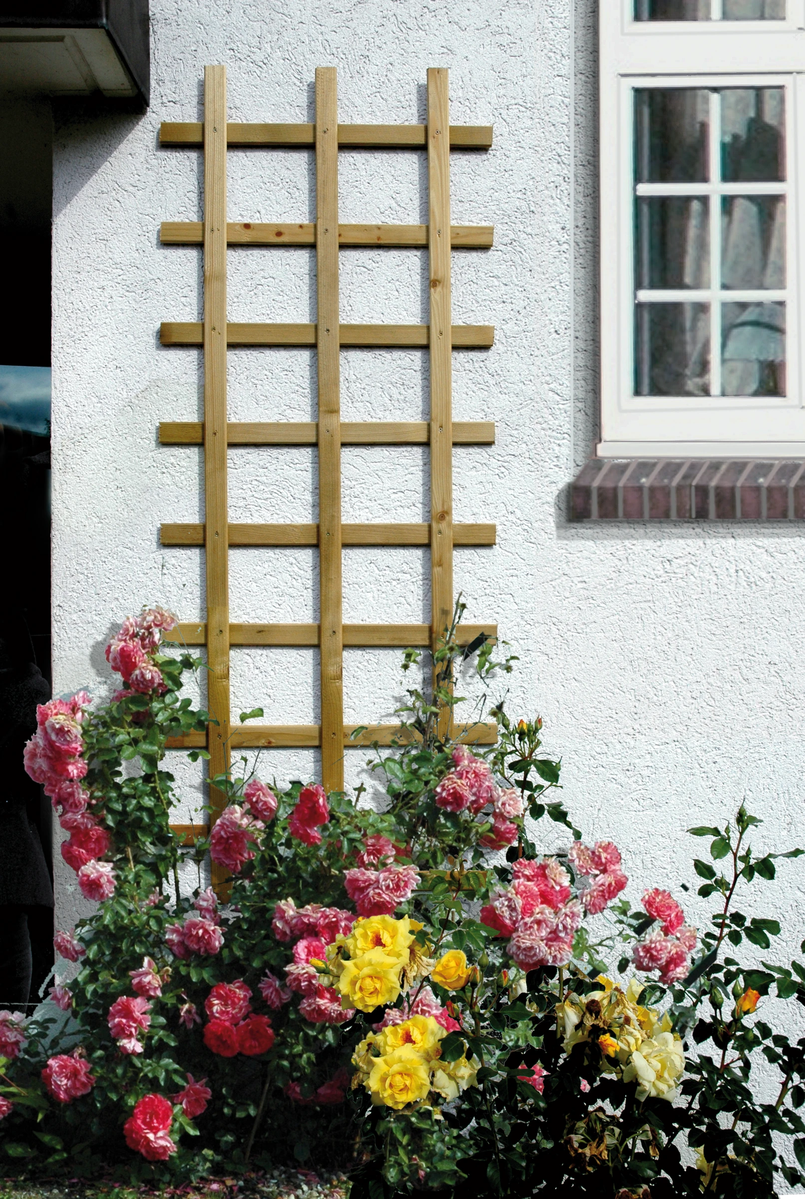 Odense Spalier Rechteck