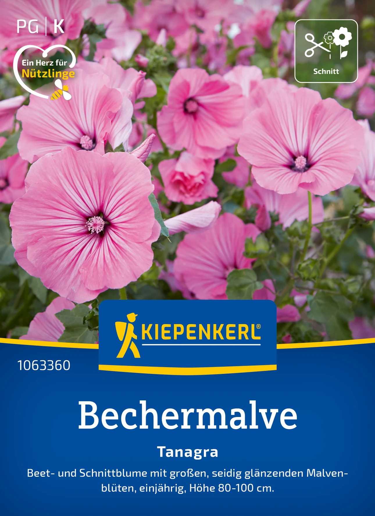 Kiepenkerl Bechermalve Tanagra