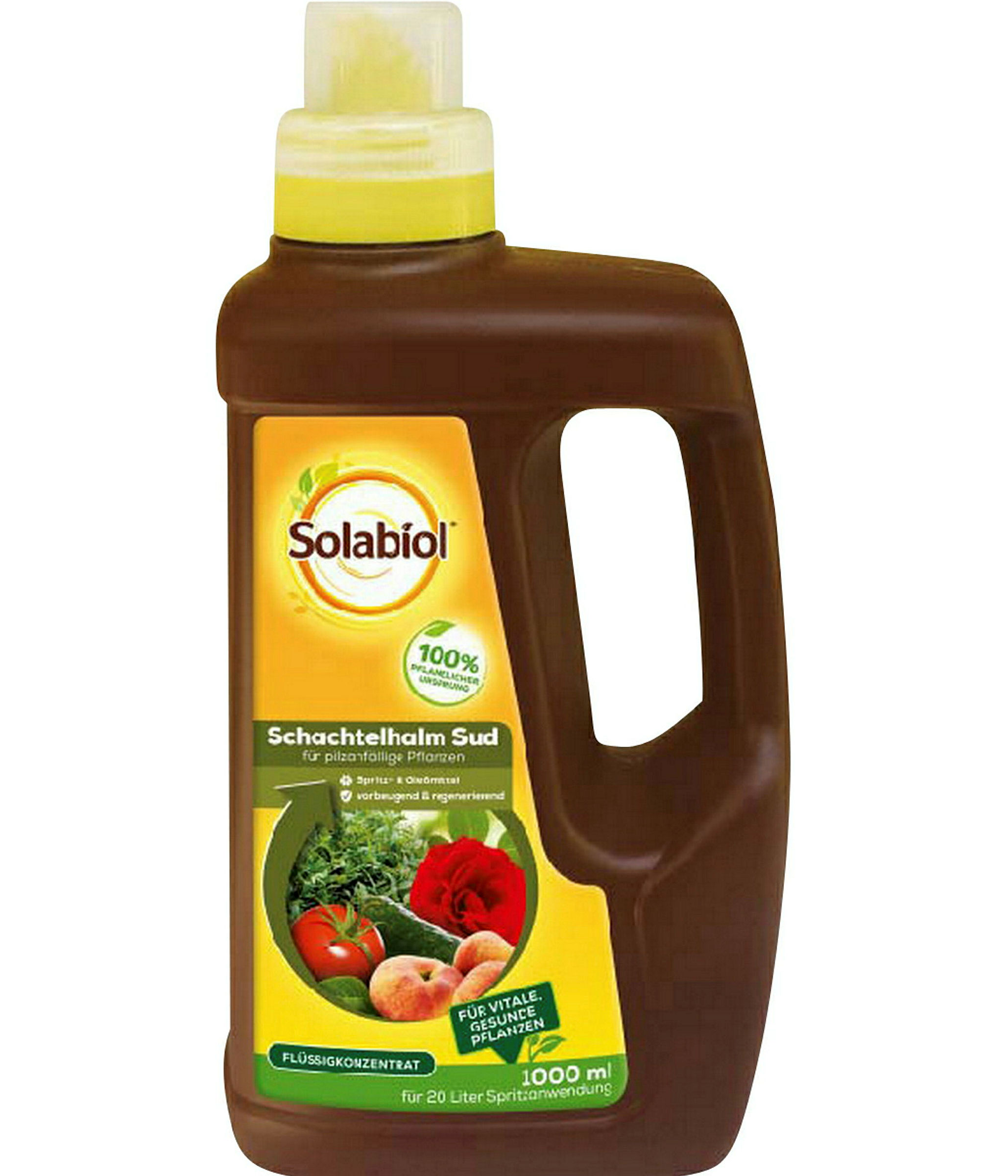 Solabiol Schachtelhalm Sud1 L