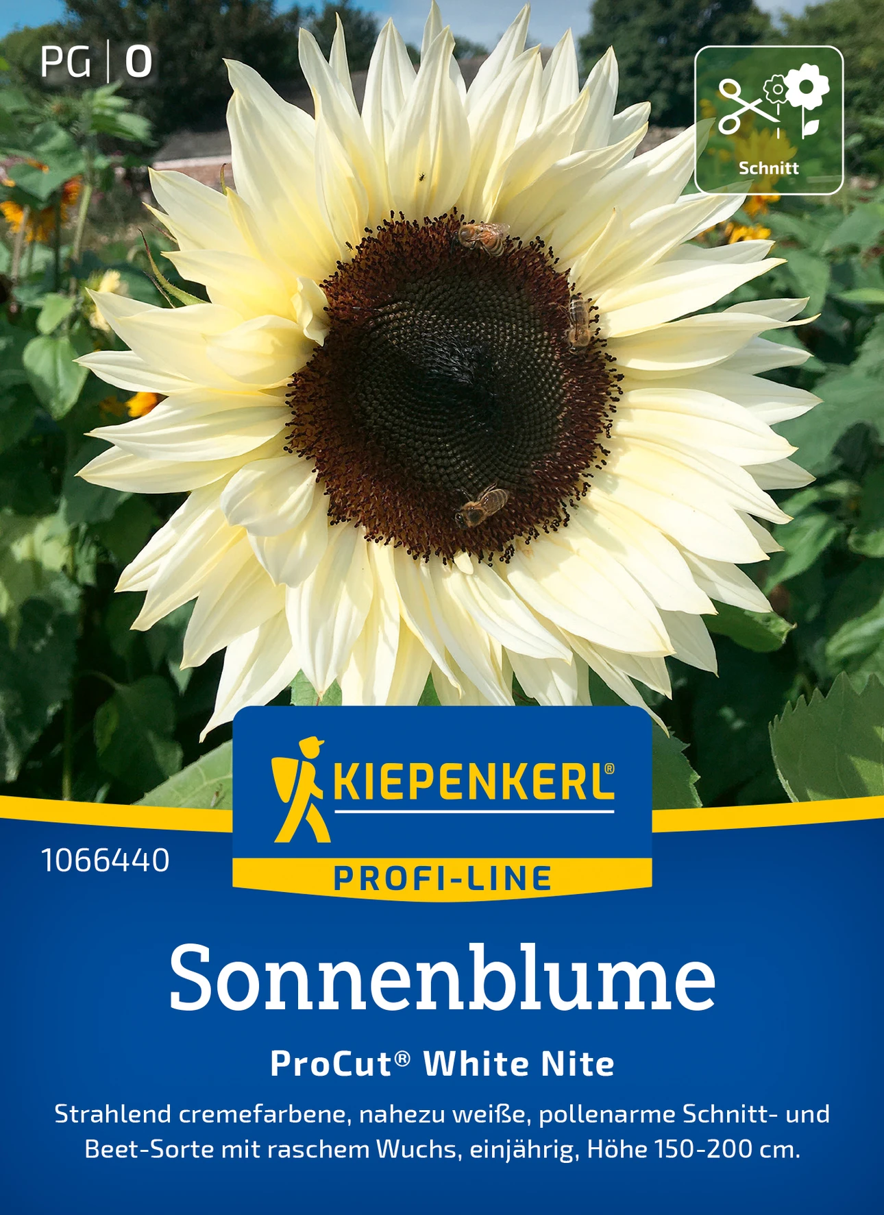 Kiepenkerl Sonnenblume ProCut® White Nite, F1