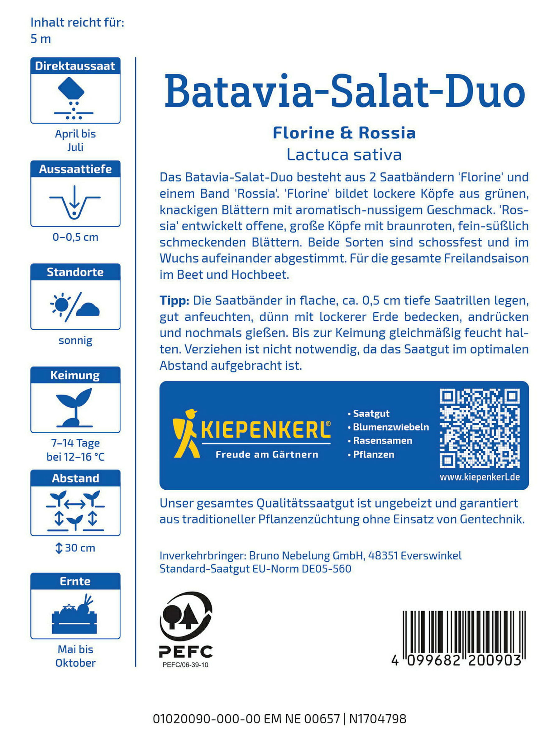 Kiepenkerl Batavia-Salat-Duo Florine & Rossia, Saatband