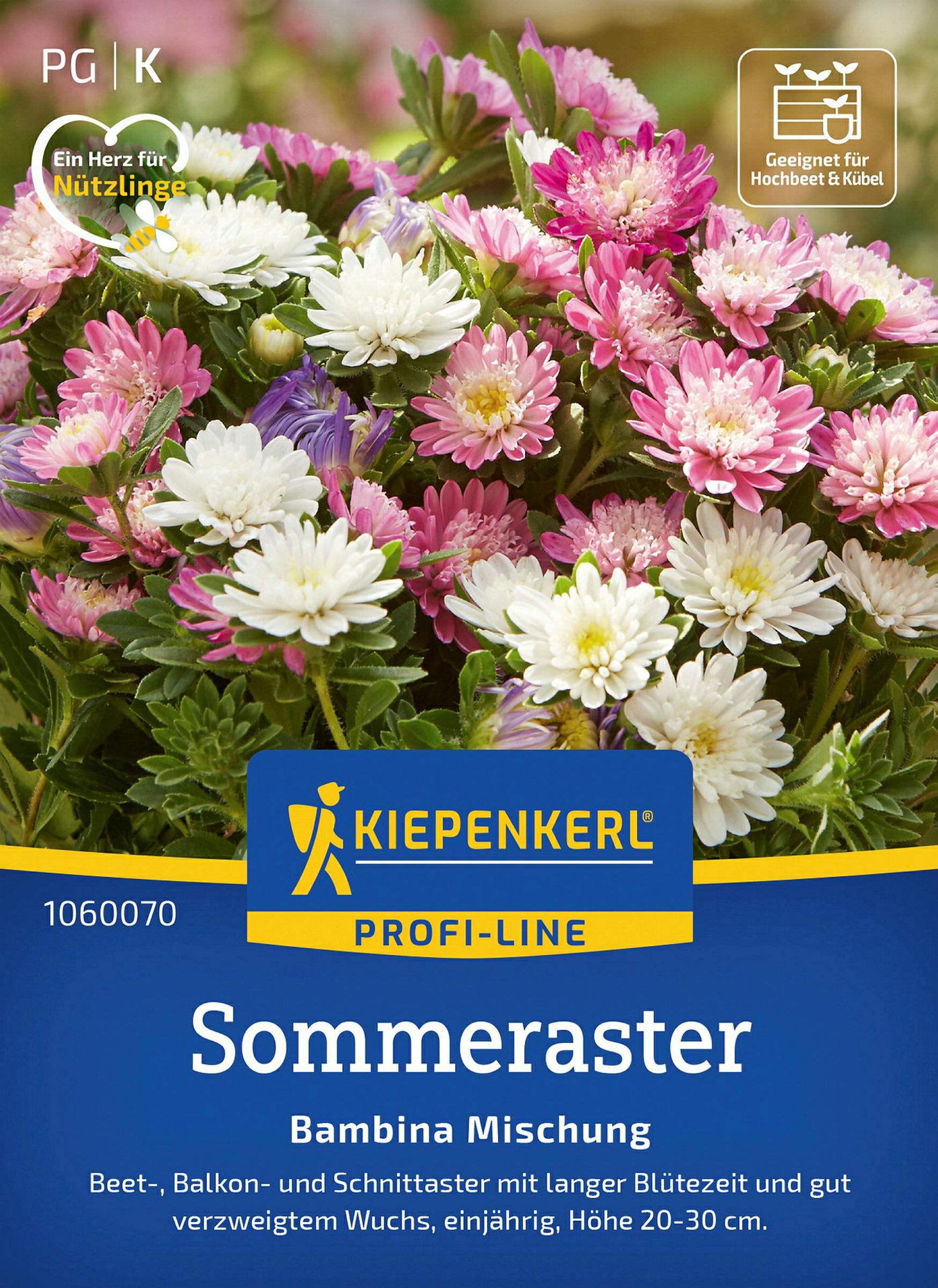 Kiepenkerl Sommeraster Bambina Mischung