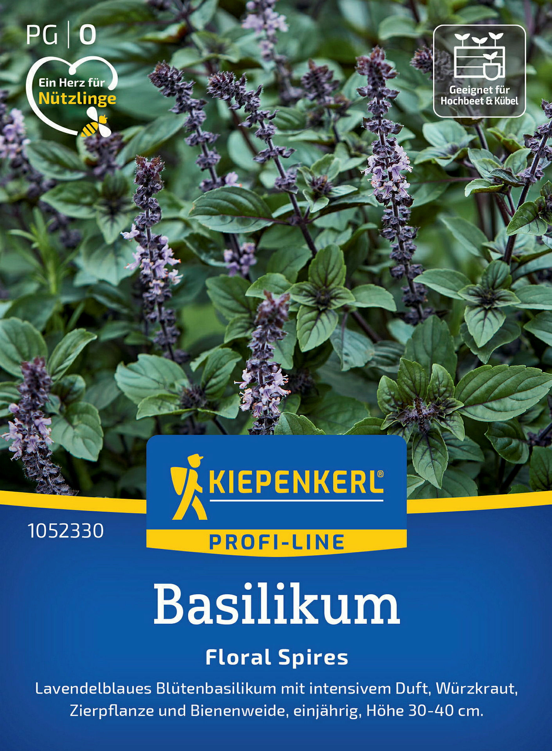 Kiepenkerl Basilikum Floral Spires Lavendelblau
