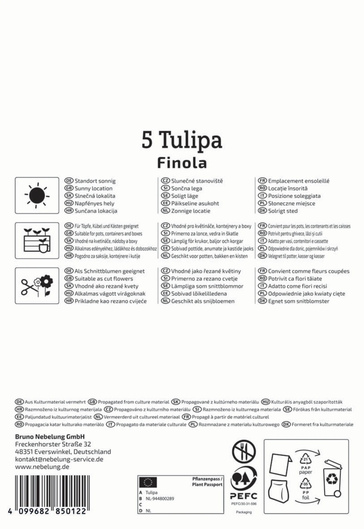 Gefüllte Späte Tulpe Finola