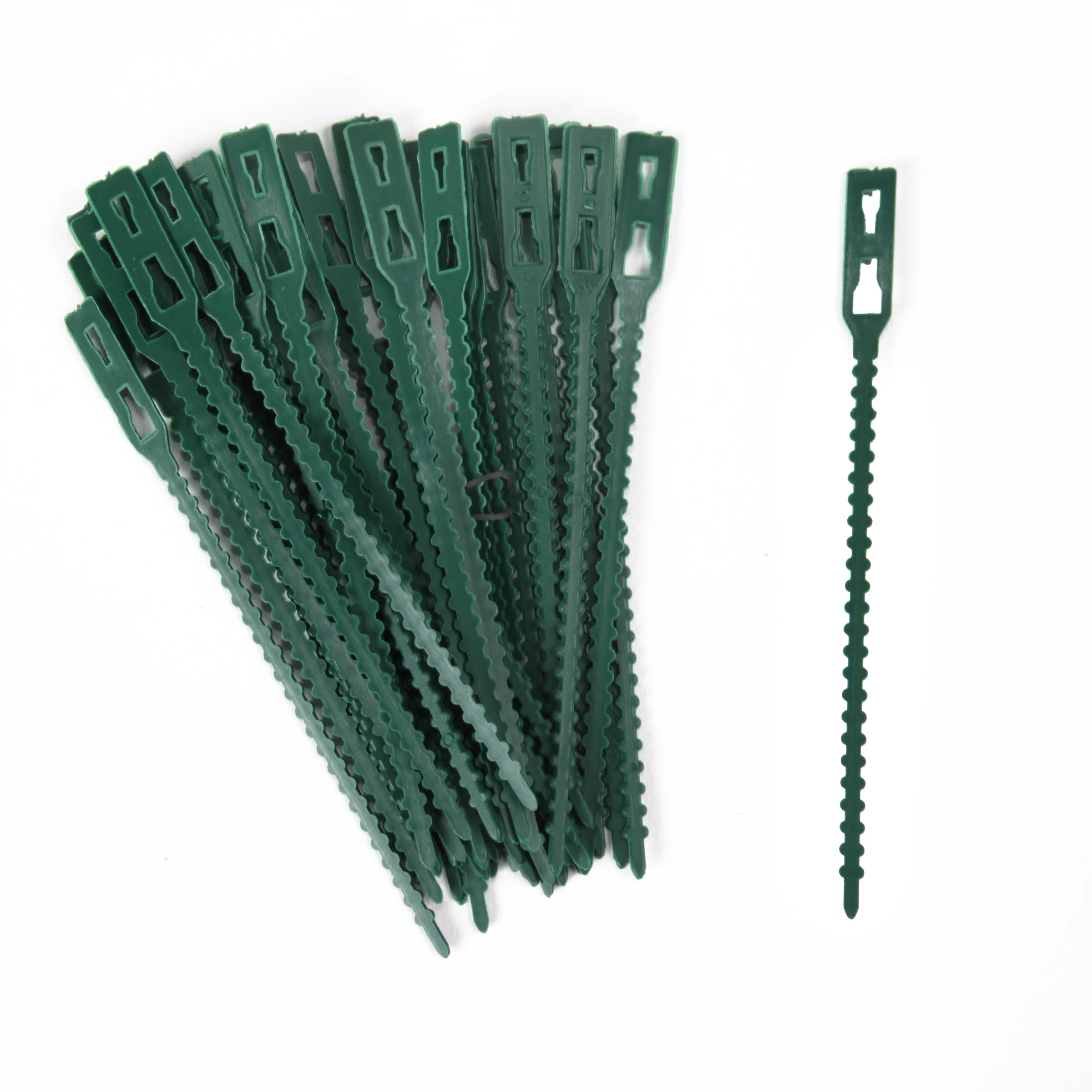 Pflanzen-Binder Classic, L: 14 cm, 40 St.,Kunststoff, grün