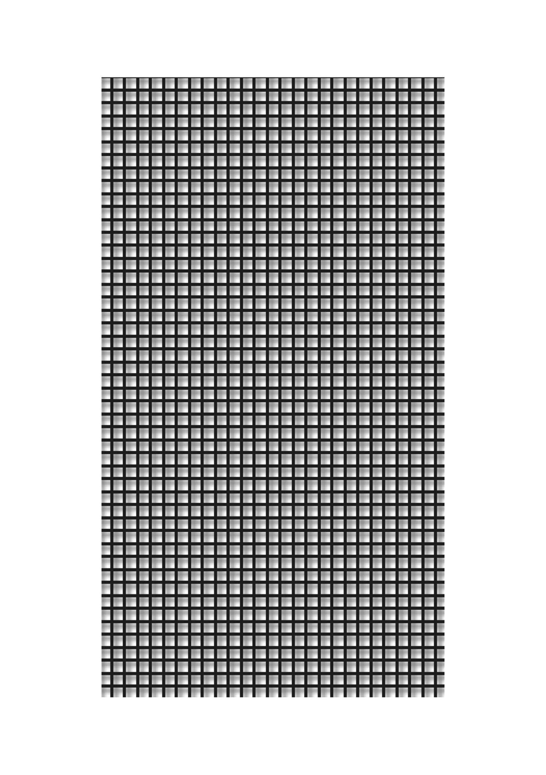 Schellenberg Fliegengitter, 130 x 230 cm, anthrazit