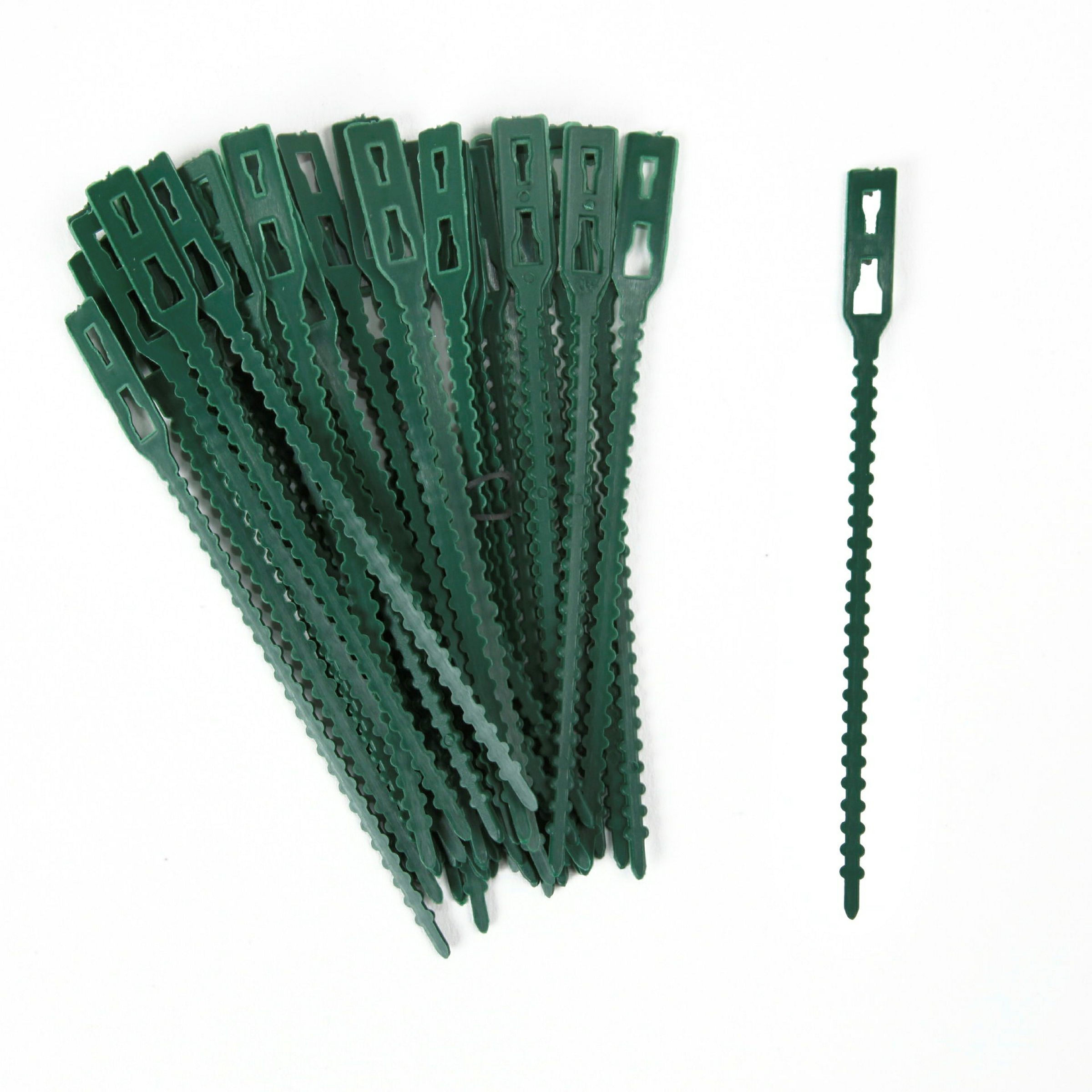 Pflanzen-Binder Classic, L: 14 cm, 40 St.,Kunststoff, grün