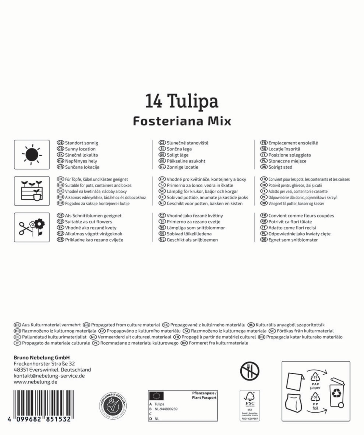 Mega-Pack Fosteriana-Tulpen Mischung