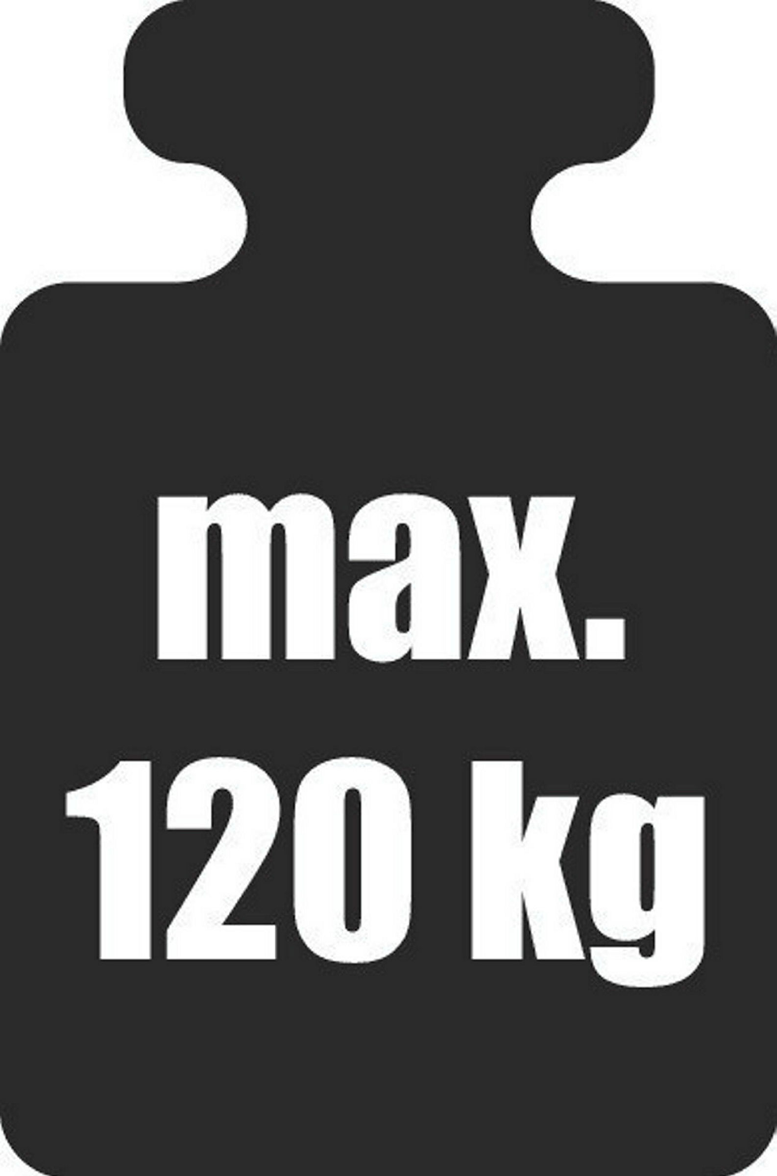 Wandhaltegriff Mod.Secura Edelst.,65,5cm