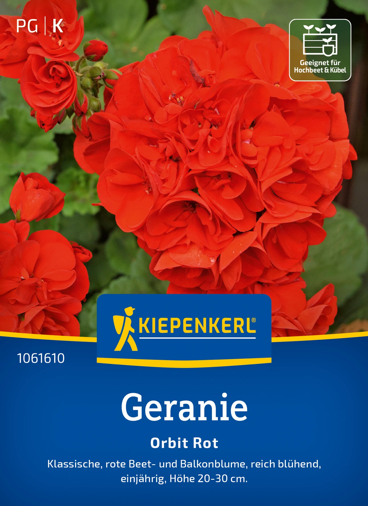 Kiepenkerl Geranie Orbit Rot, F1