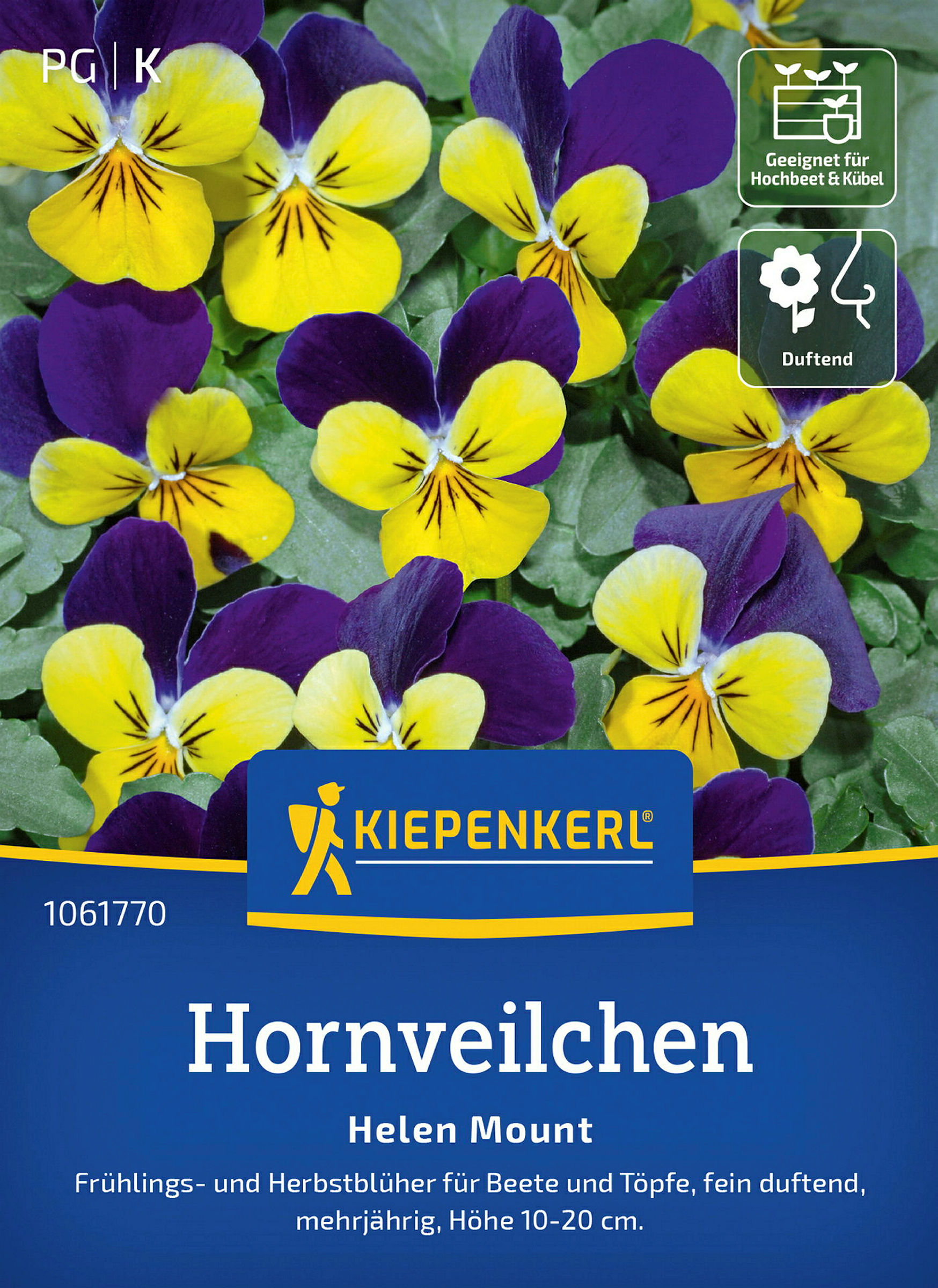 Kiepenkerl Hornveilchen Helen Mount