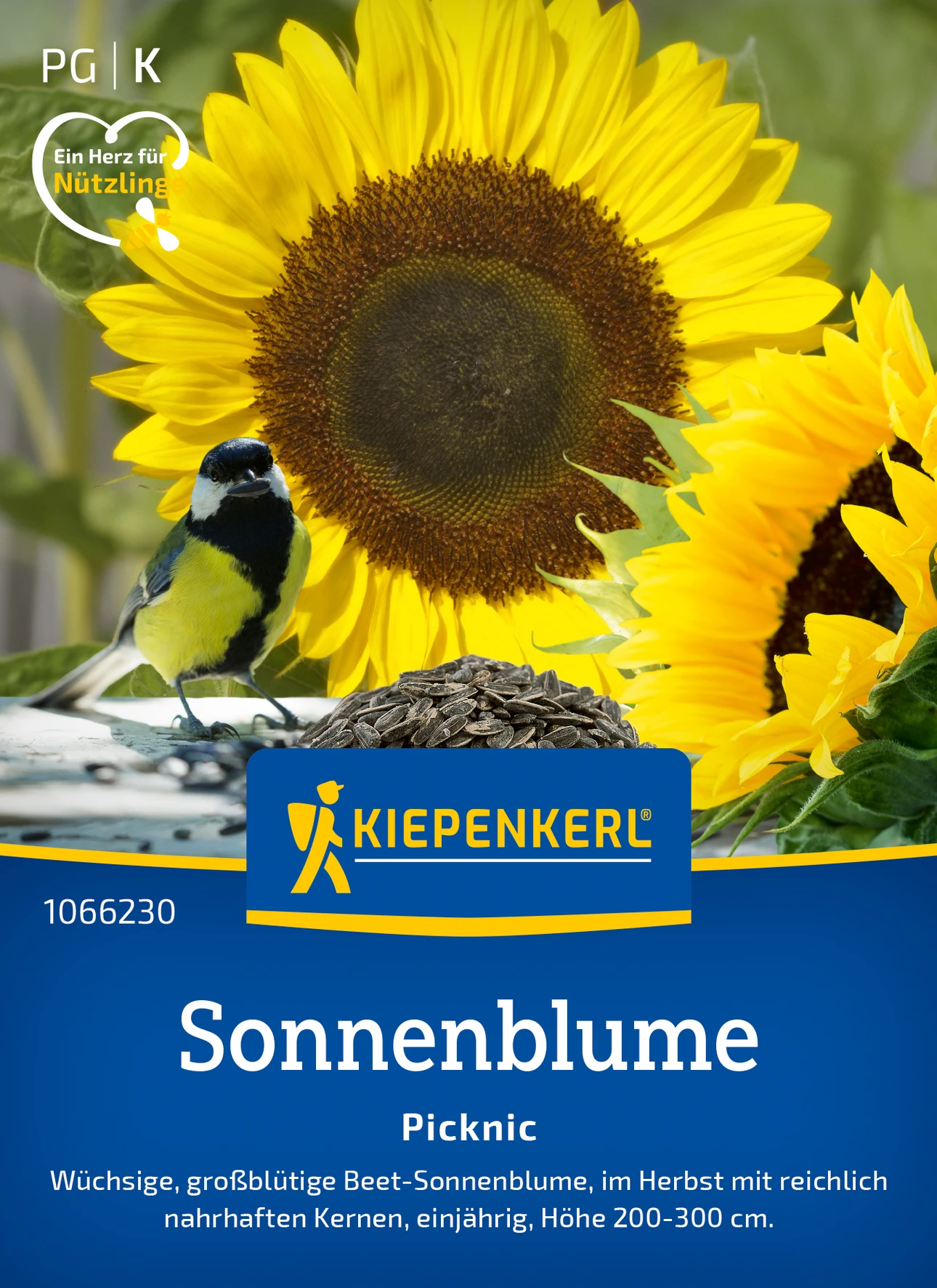 Kiepenkerl Sonnenblume Picknic