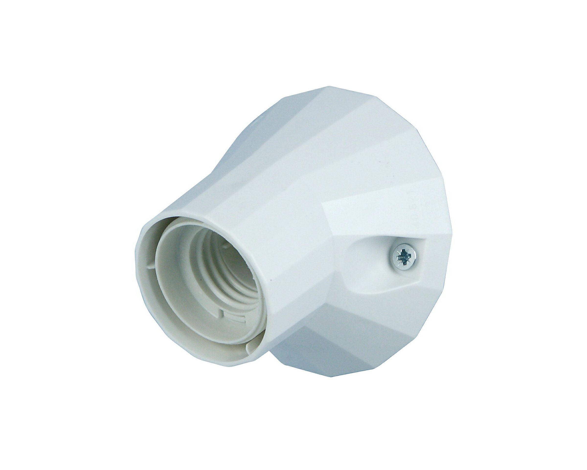 Wandfassung 100W ws