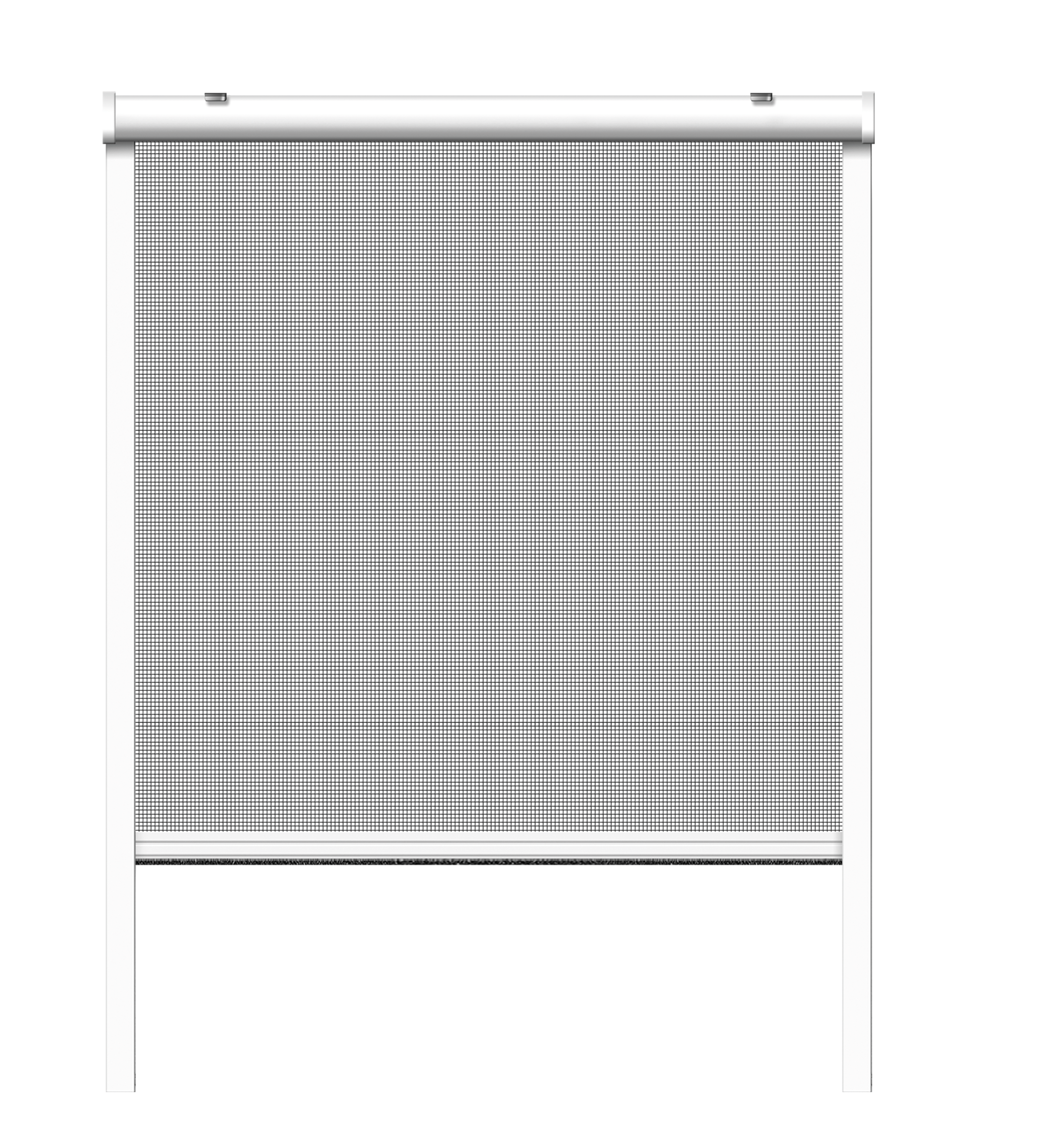 Schellenberg Insektenschutzrollo für Fenster, weiß, 100 x 160 cm