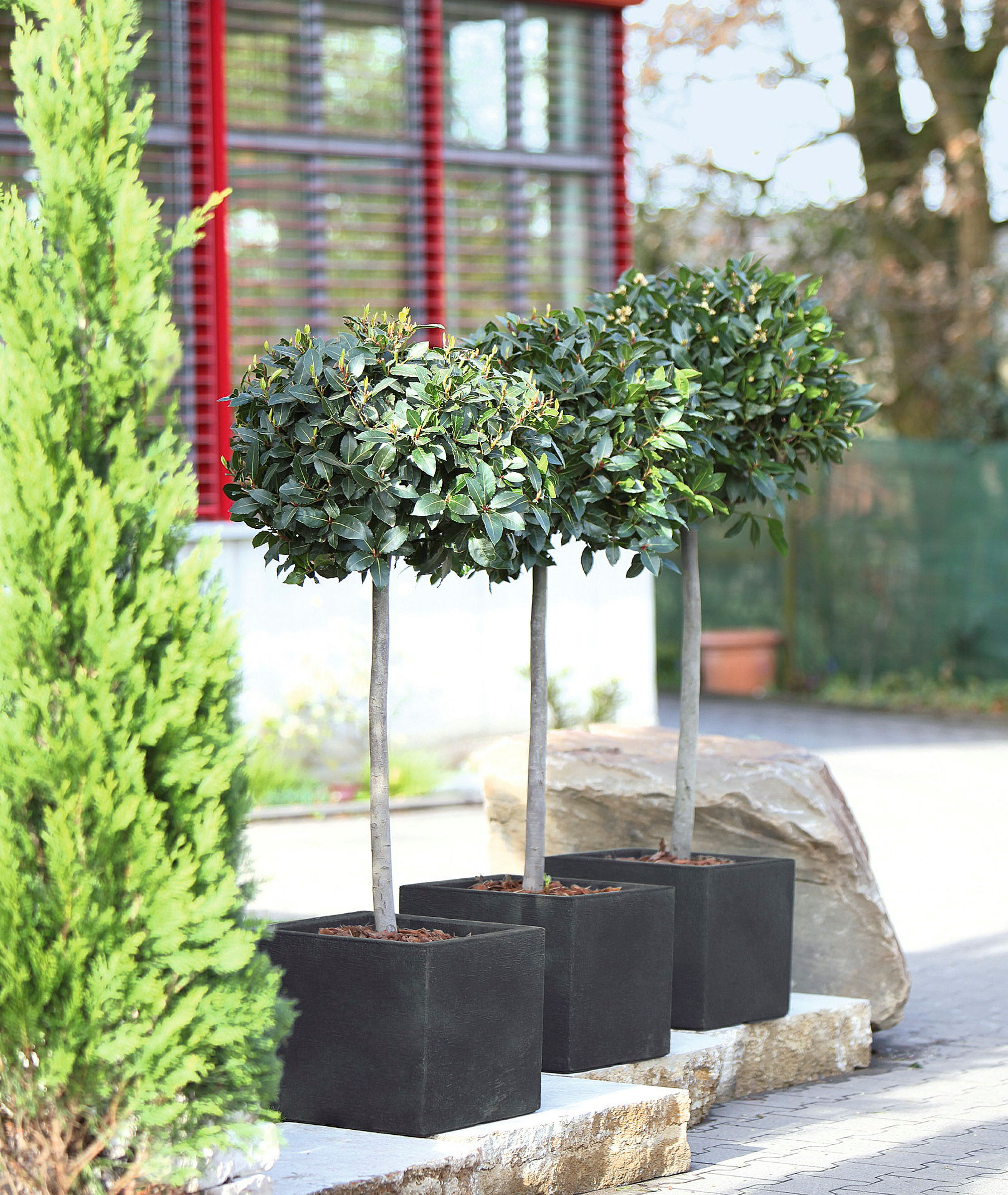 Kubus quadrat 40x40x34cm anthrazit