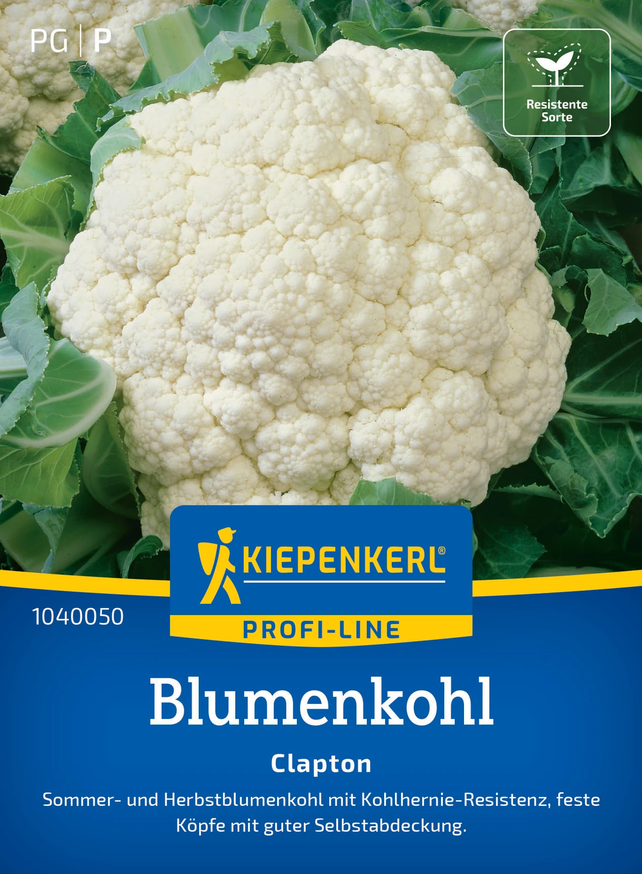 Kiepenkerl Blumenkohl Clapton, F1