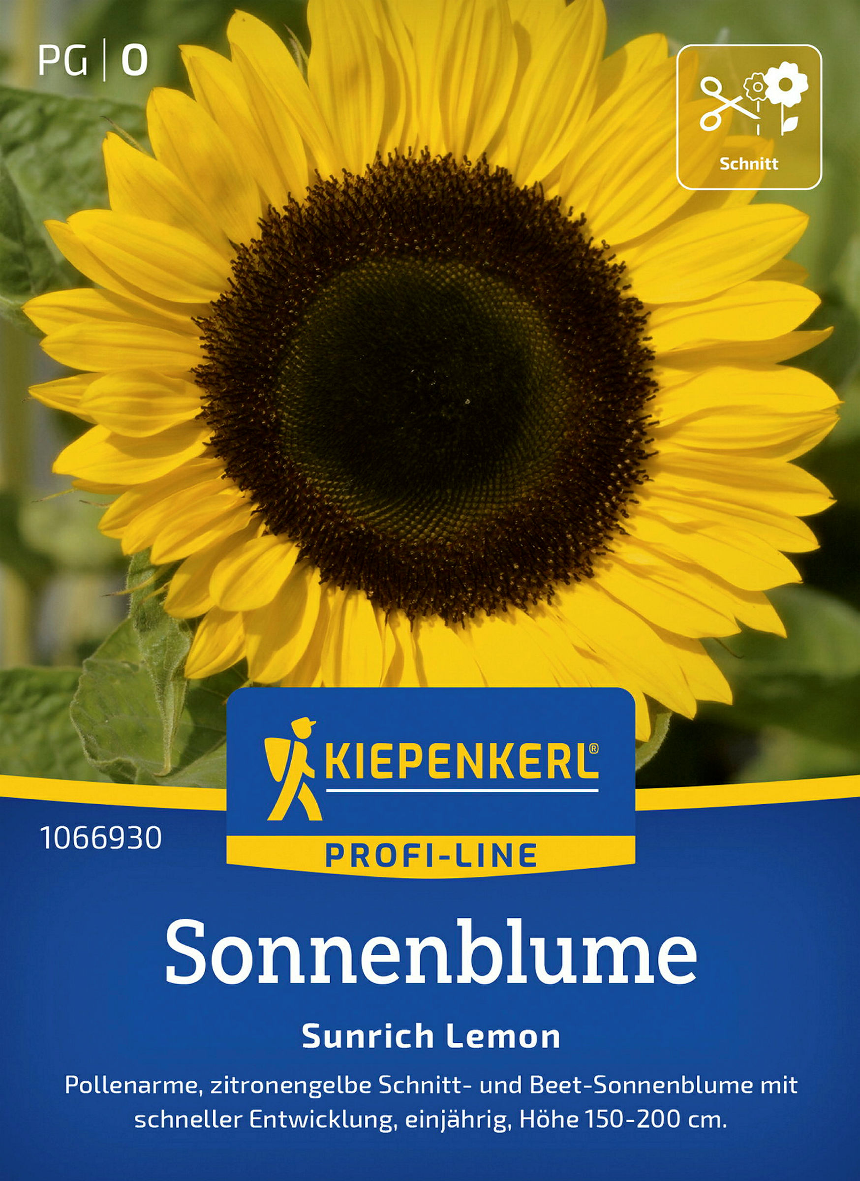 Kiepenkerl Sonnenblume Sunrich Lemon, F1