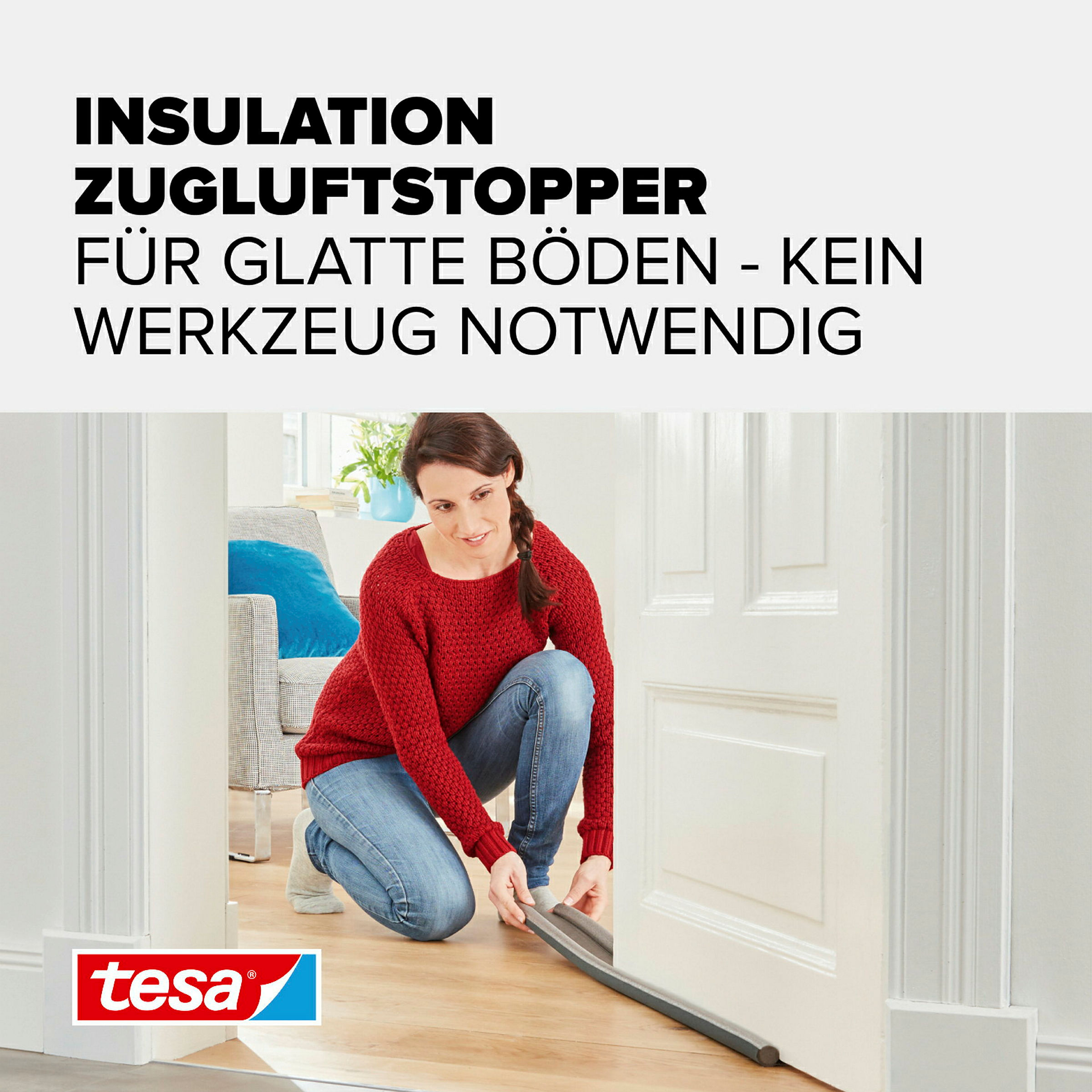 tesamoll®l® Türbodendoppeldichtung 0.95m x 22mm, grau