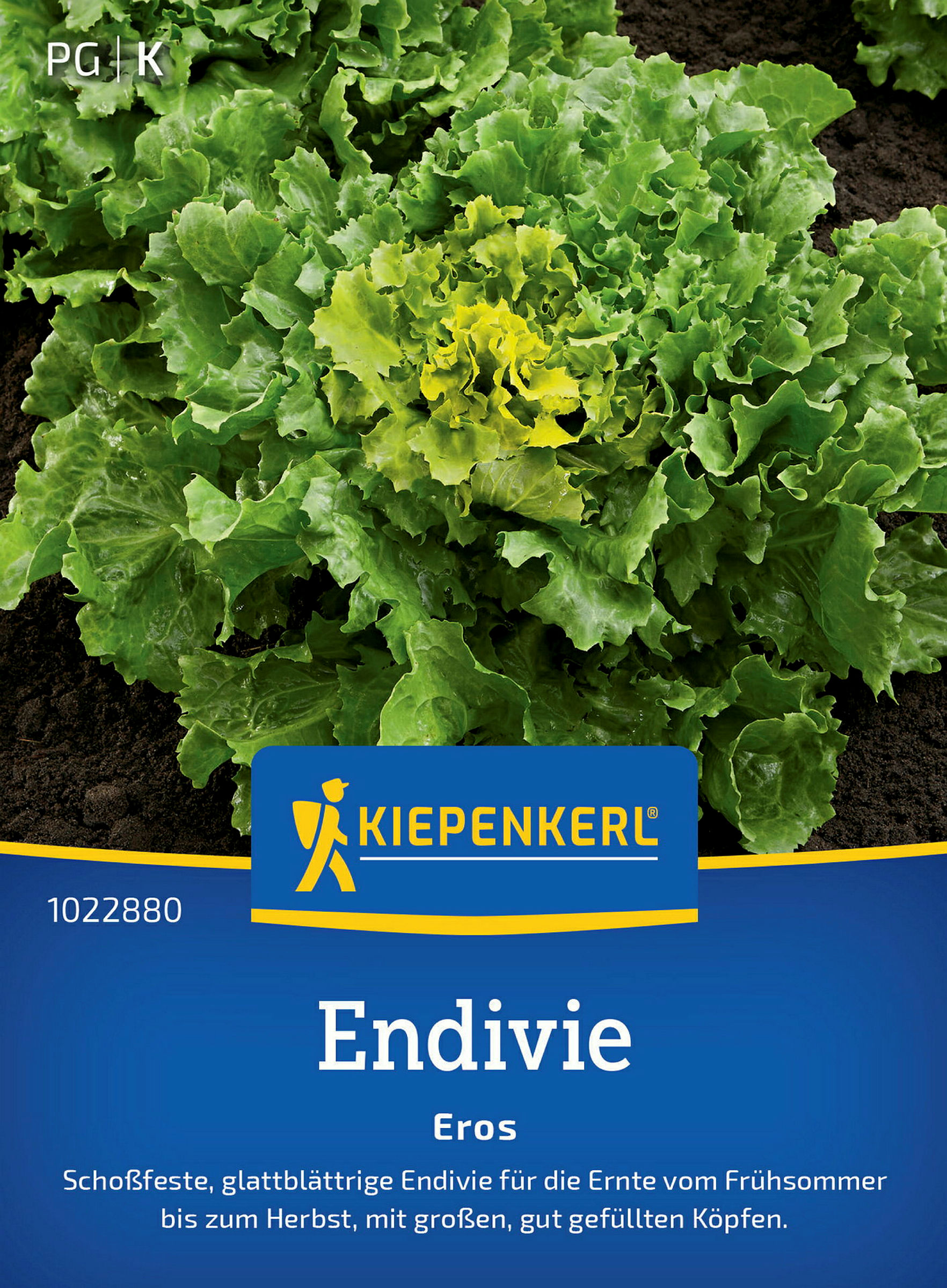 Kiepenkerl Endivie Eros