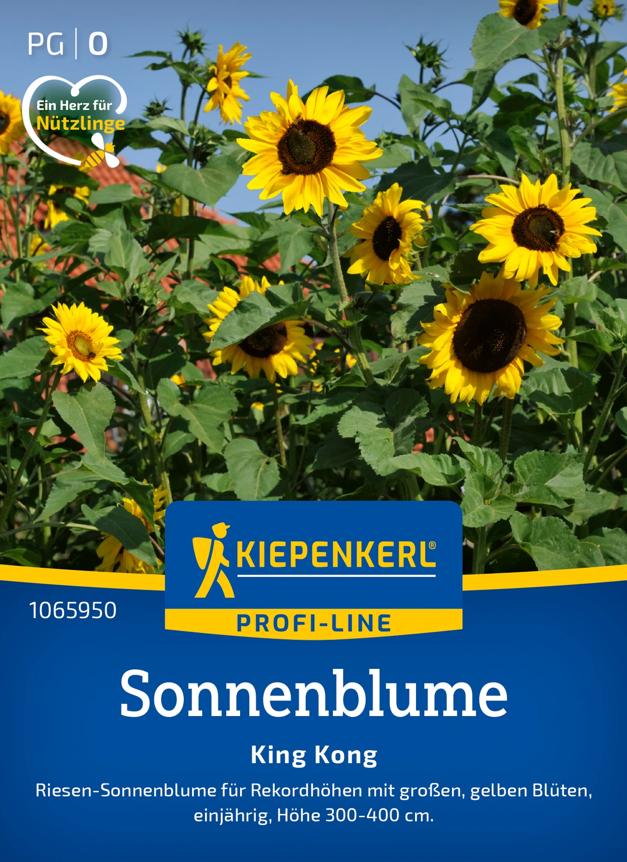 Kiepenkerl Sonnenblume King Kong