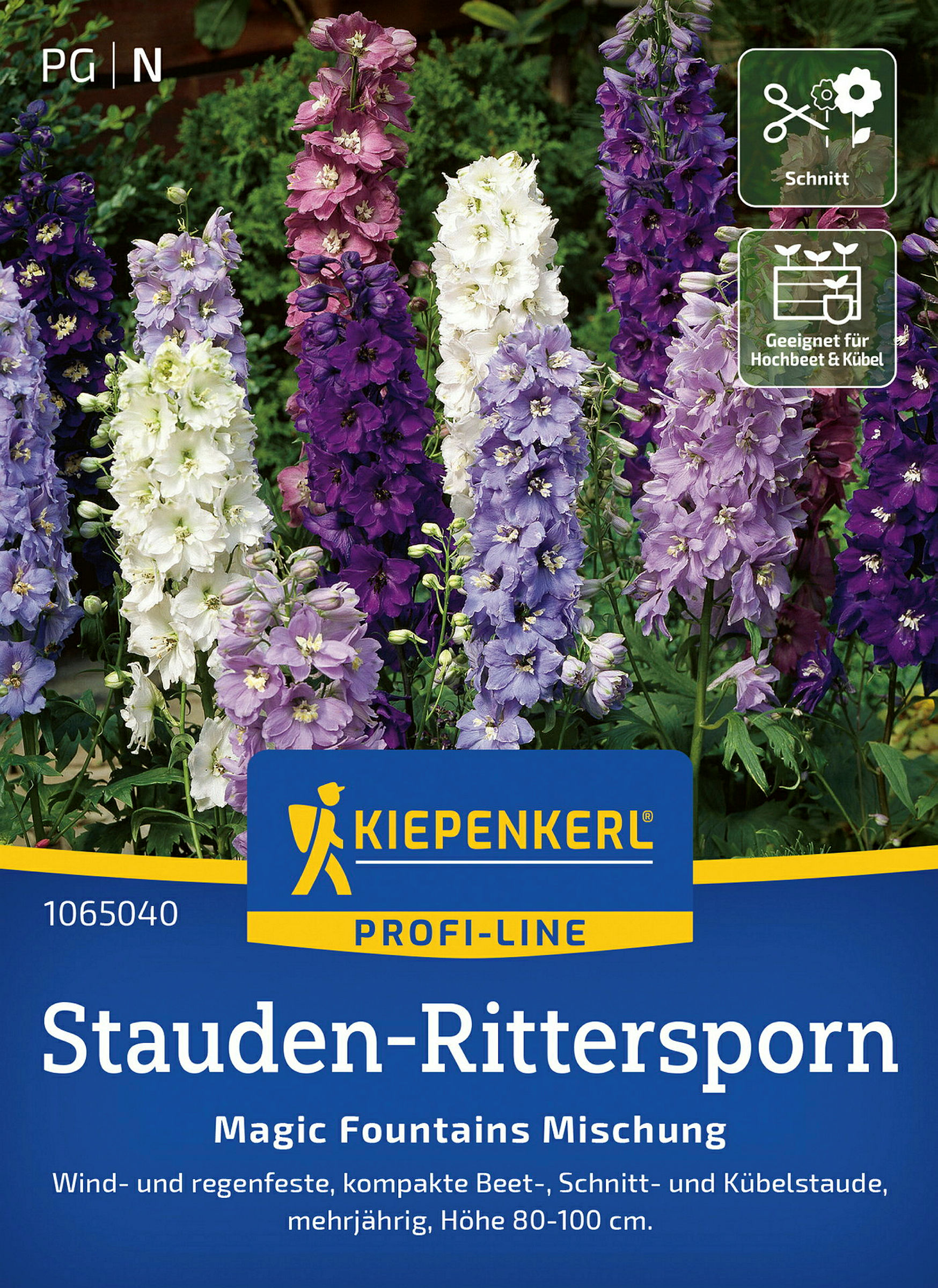 Kiepenkerl Stauden-Rittersporn Magic Fountains Mischung