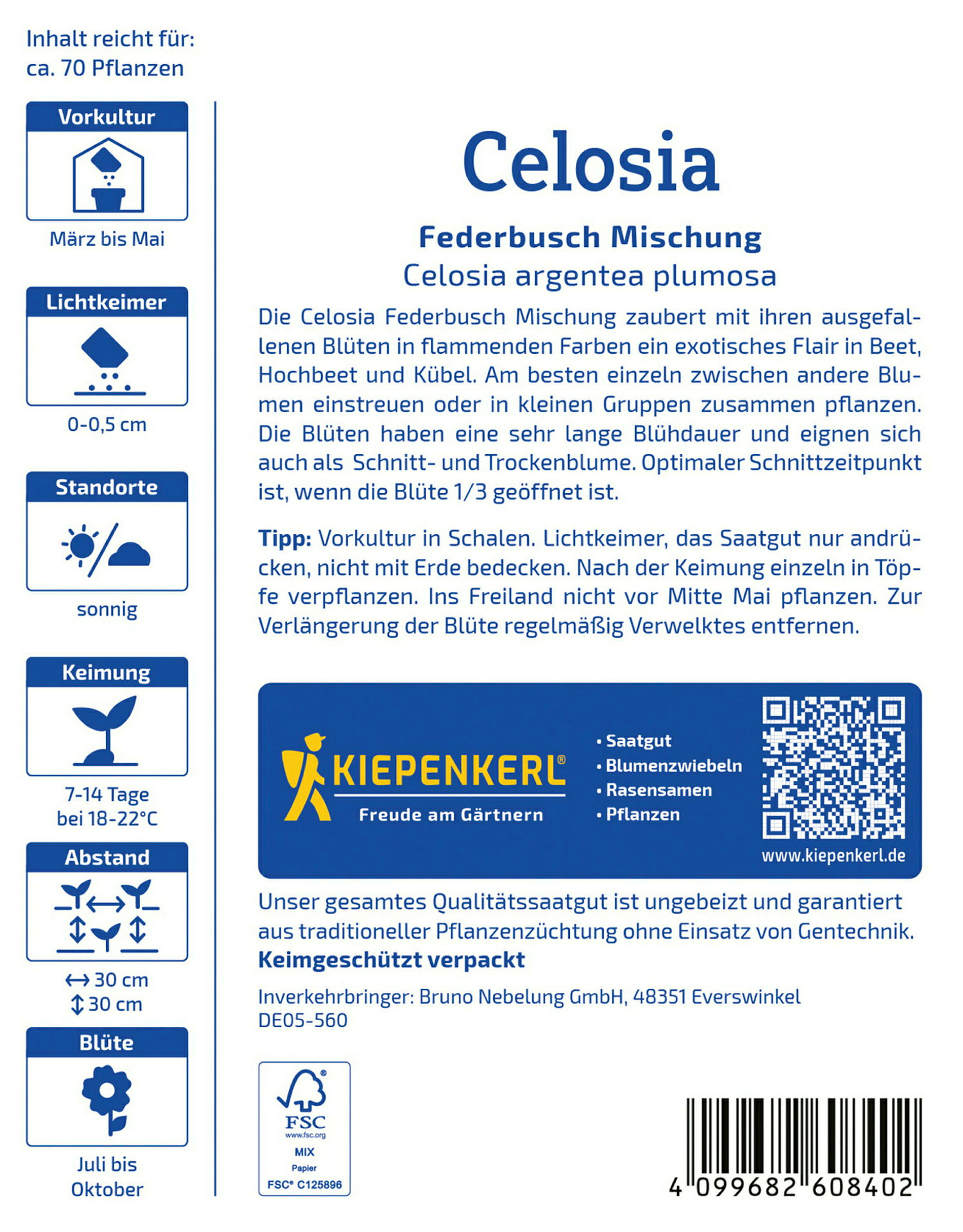 Kiepenkerl Celosia Federbusch Mischung