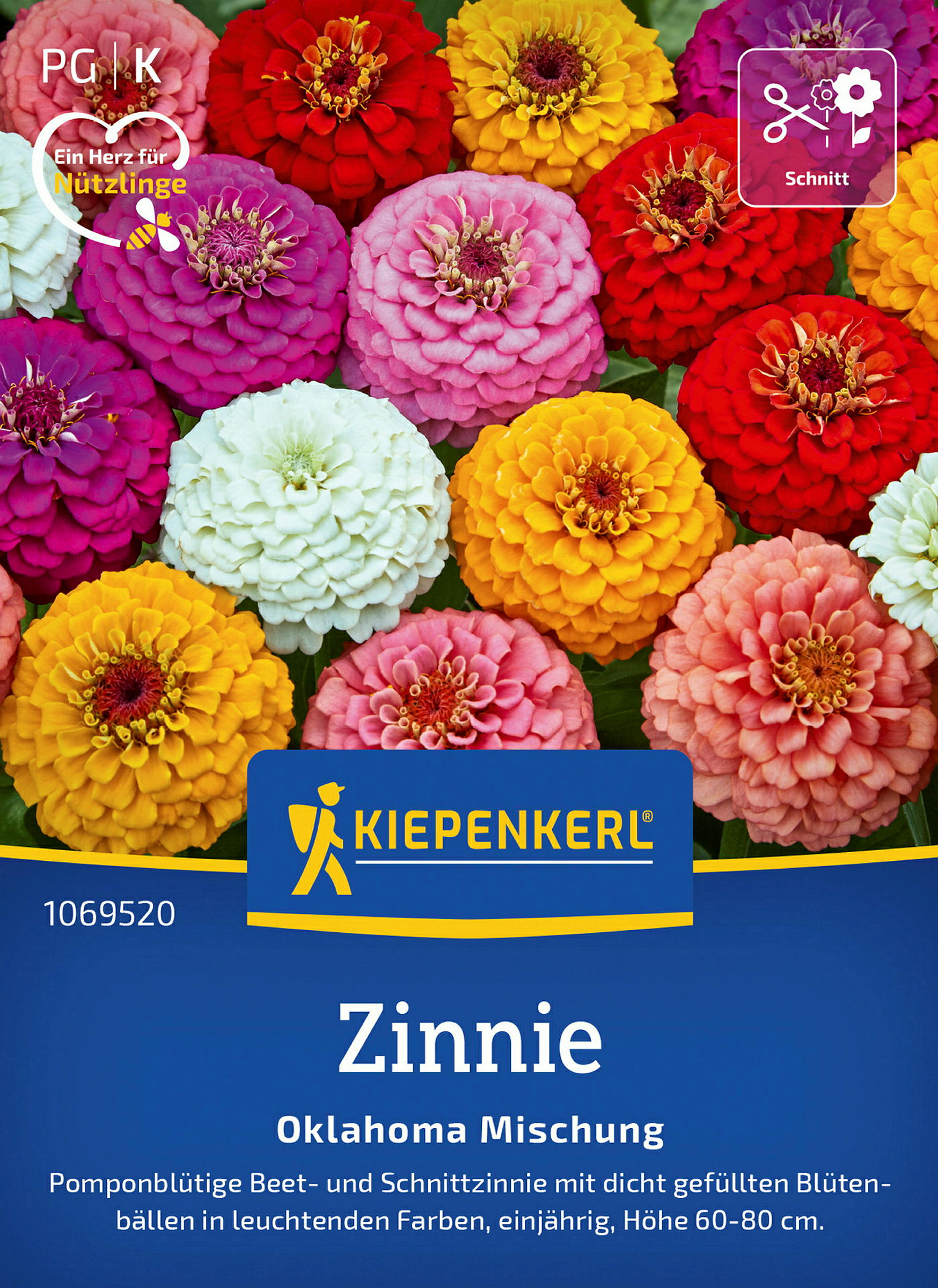 Kiepenkerl Zinnie Oklahoma Mischug