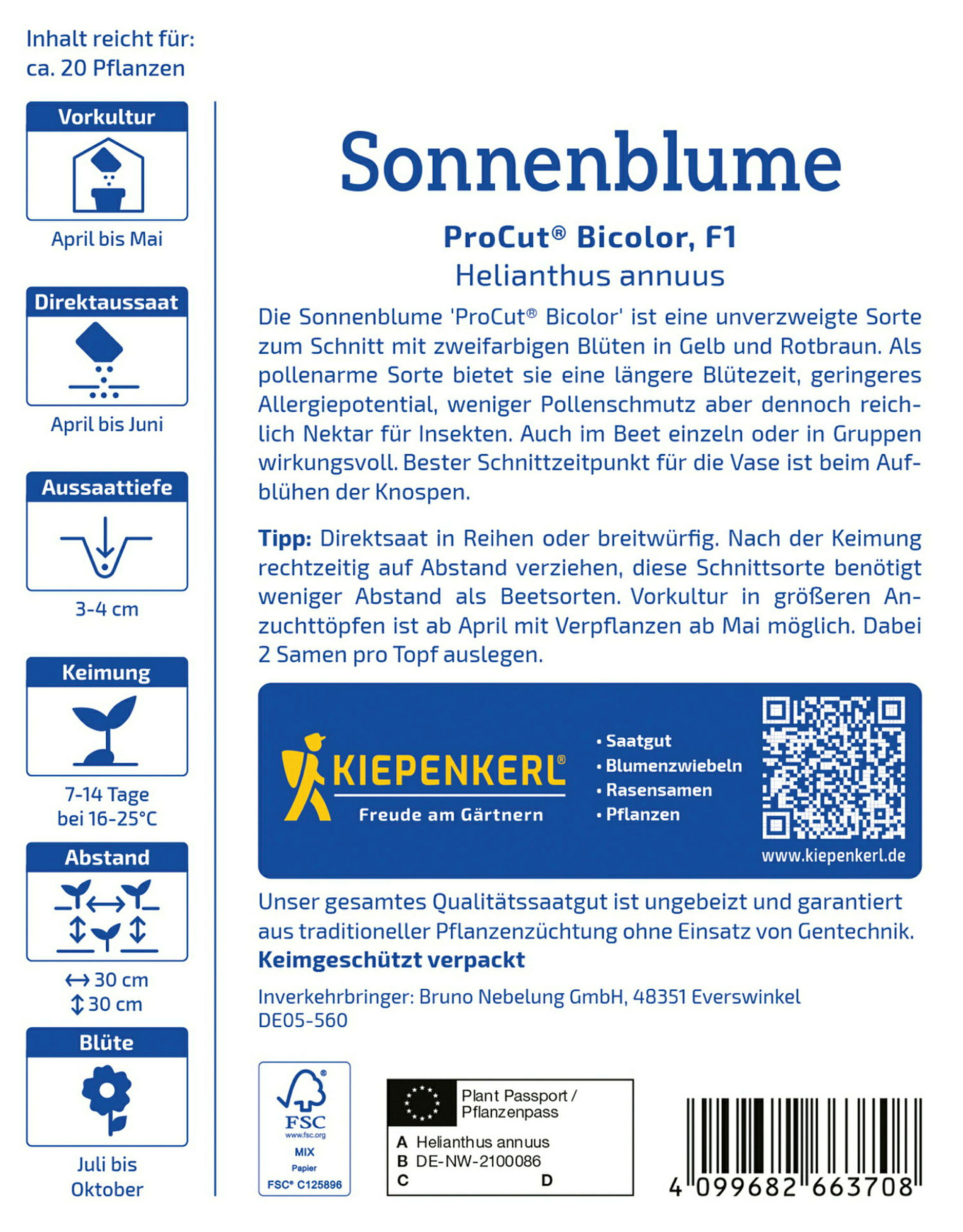 Kiepenkerl Sonnenblume ProCut® Bicolor, F1