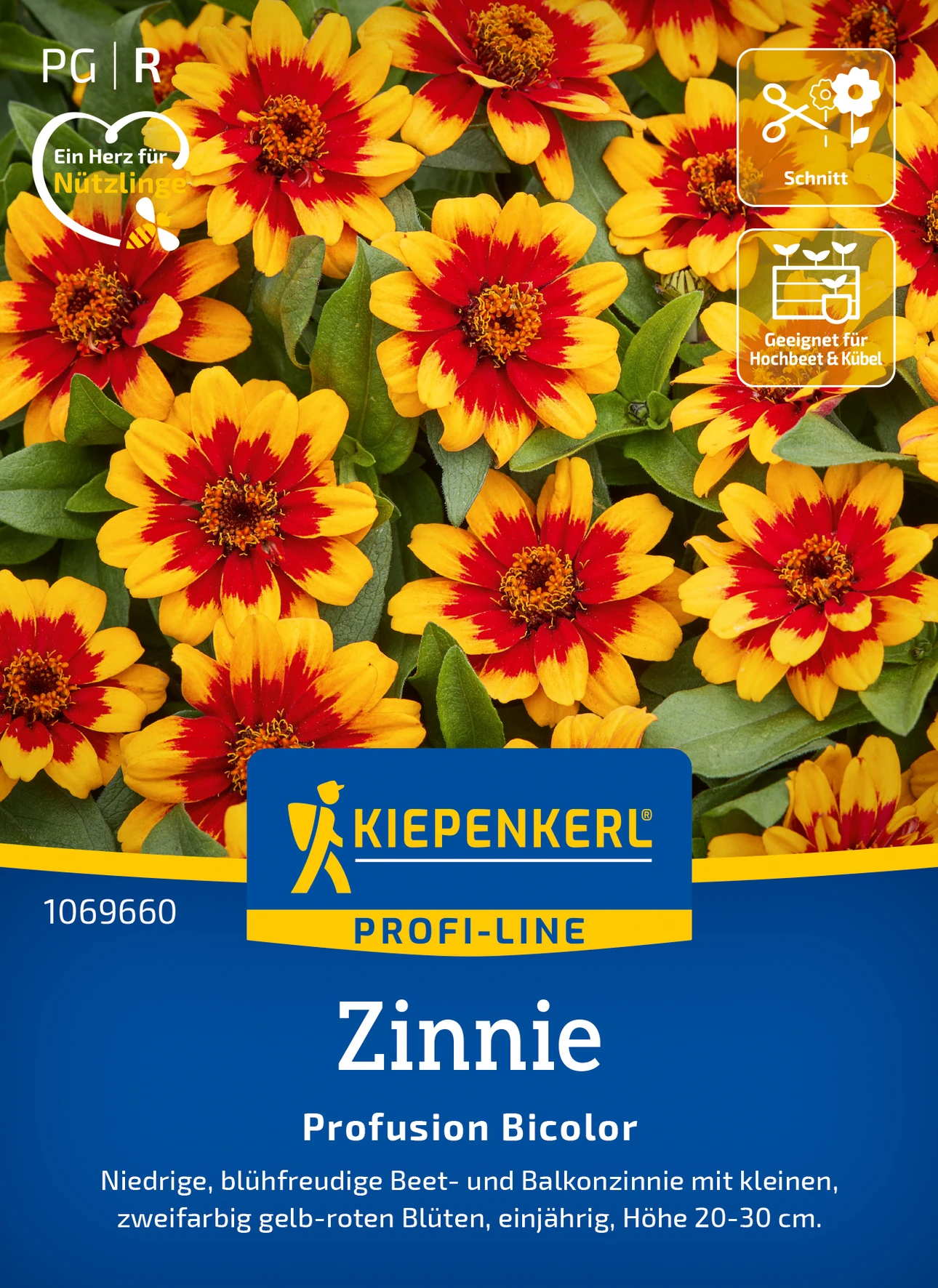 Kiepenkerl Zinnie Profusion Bicolor
