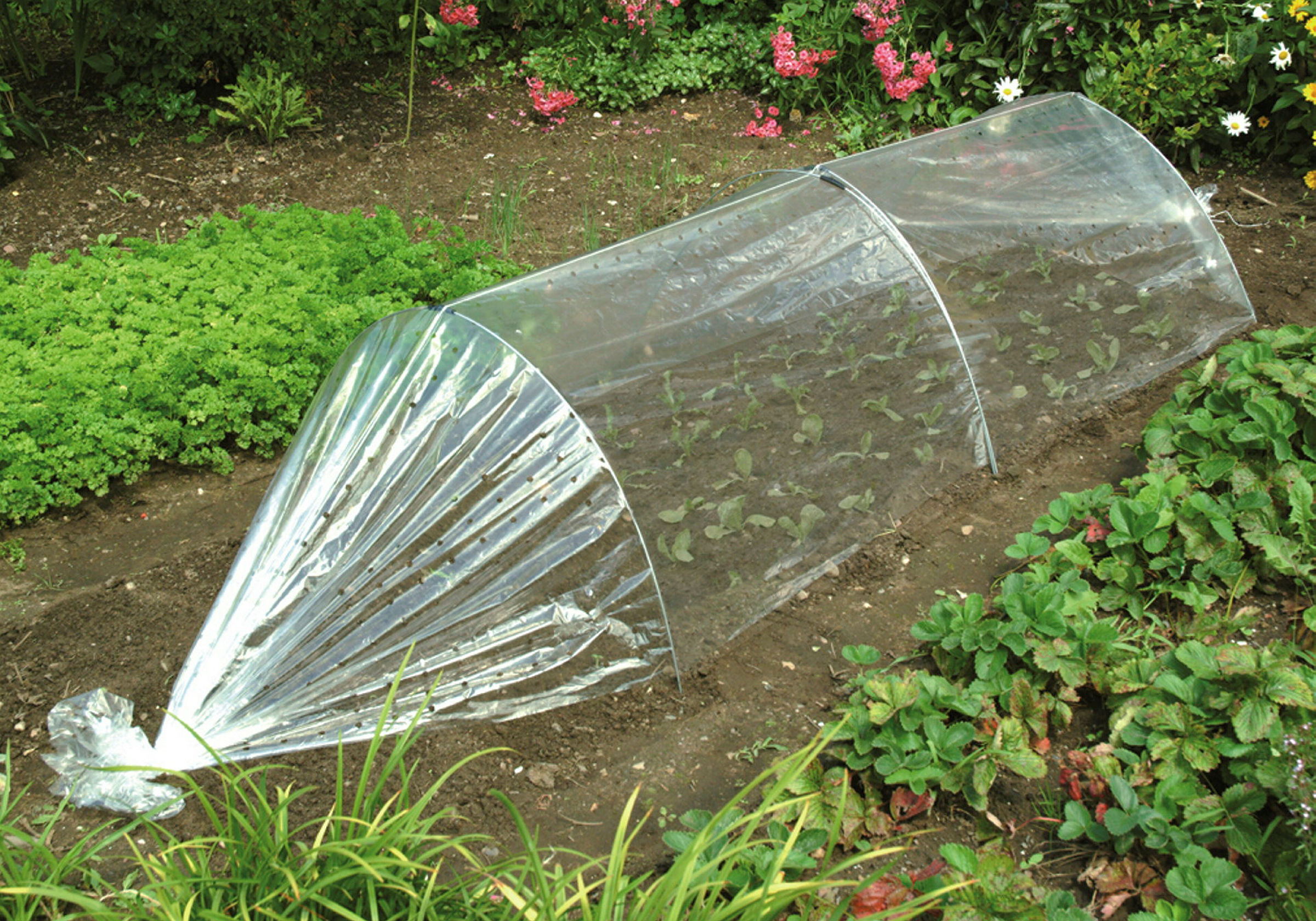 Frühbeettunnel gelocht 3,5x1,0 M, 3 Stahldrahtbögen, verzinkt, transparent