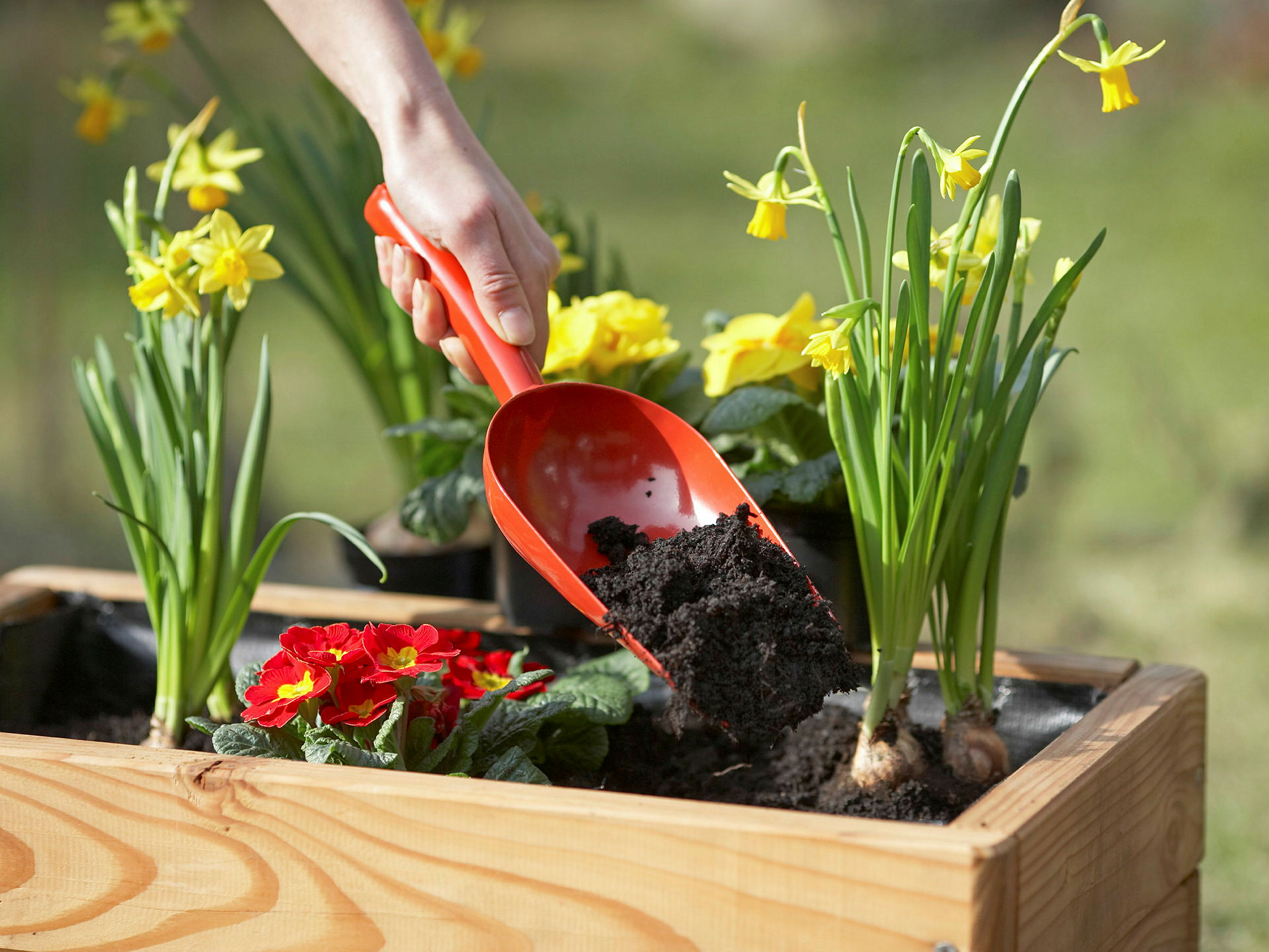 Blumenkelle Metall XXL