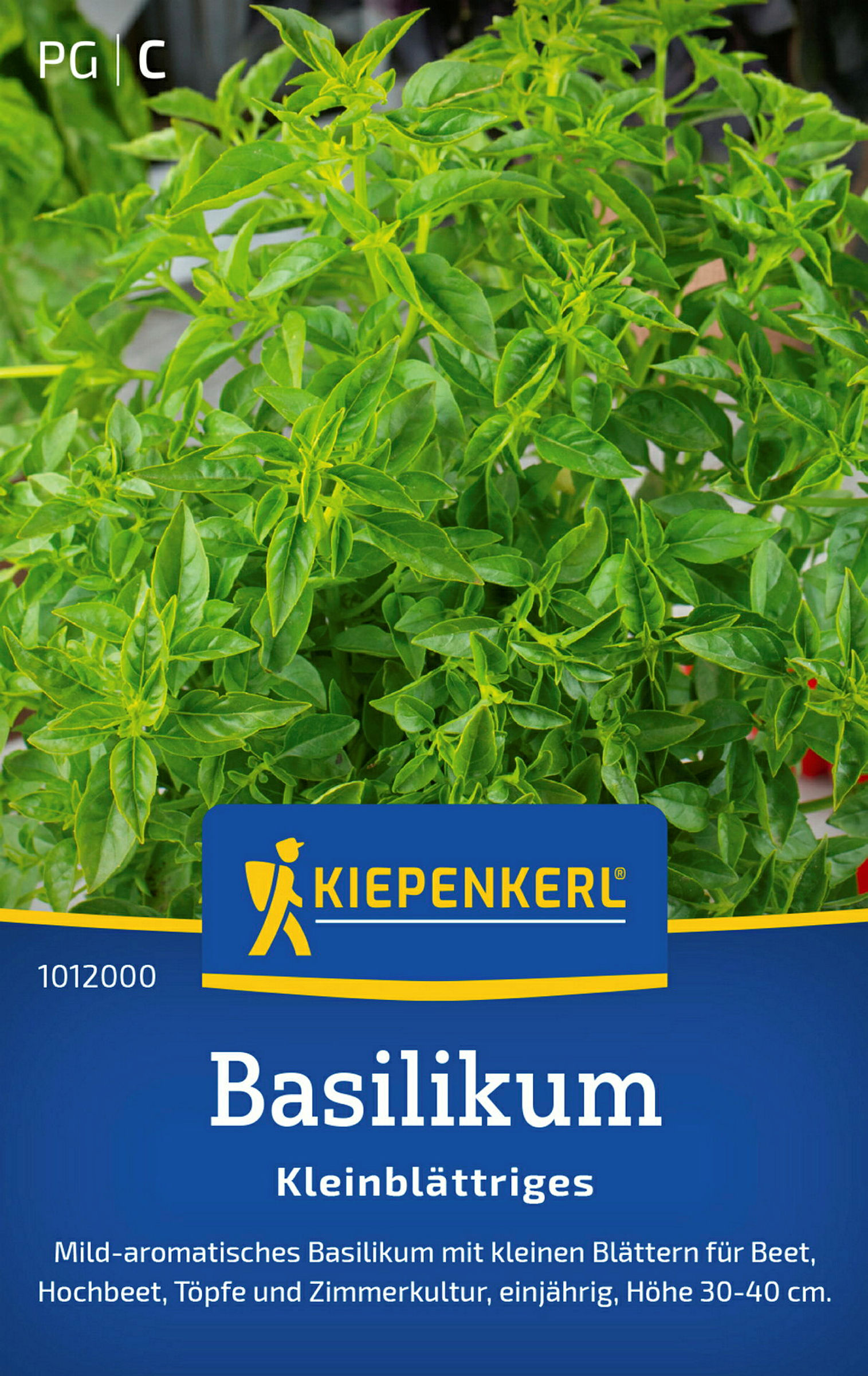 Kiepenkerl Basilikum Kleinblättriges