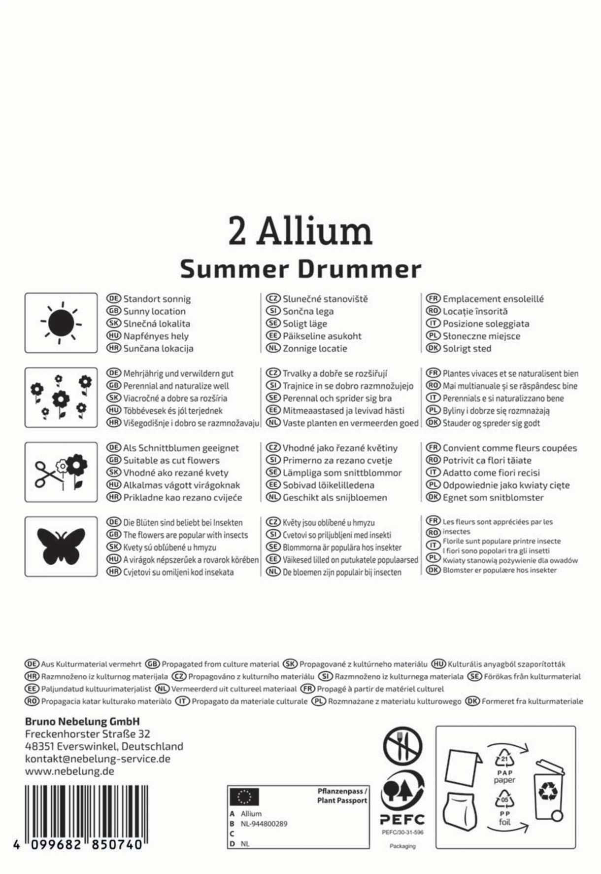 Zierlauch Summer Drummer