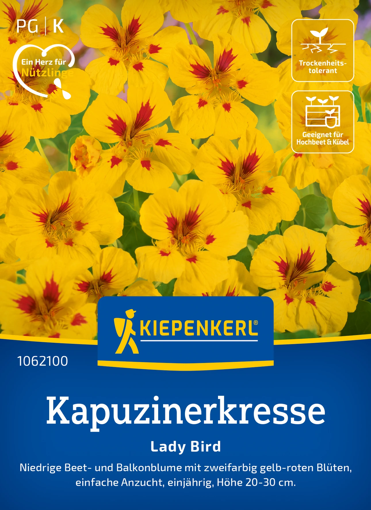 Kiepenkerl Kapuzinerkresse Lady Bird