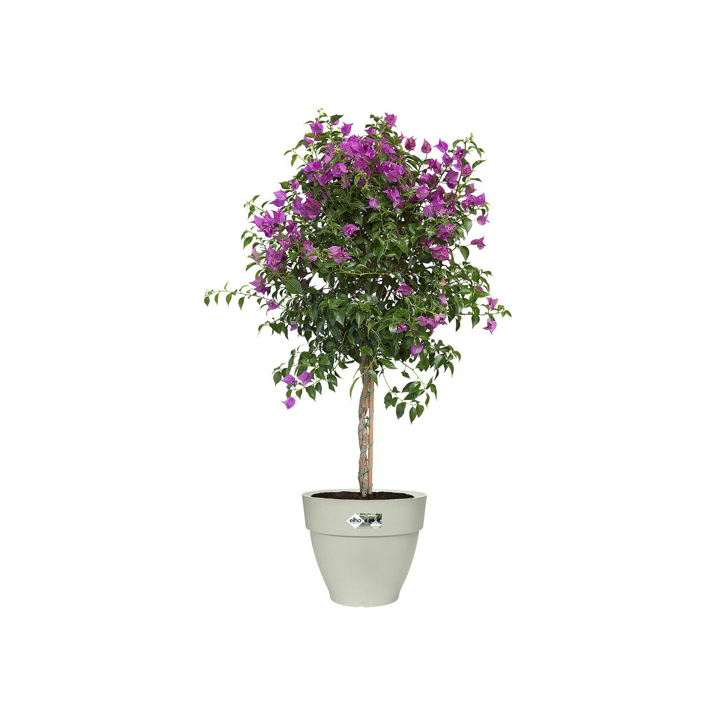 Elho Vibia Campana 40 - Weiß - Ø 39 x H 33 cm - Außen - 100% Recycelt