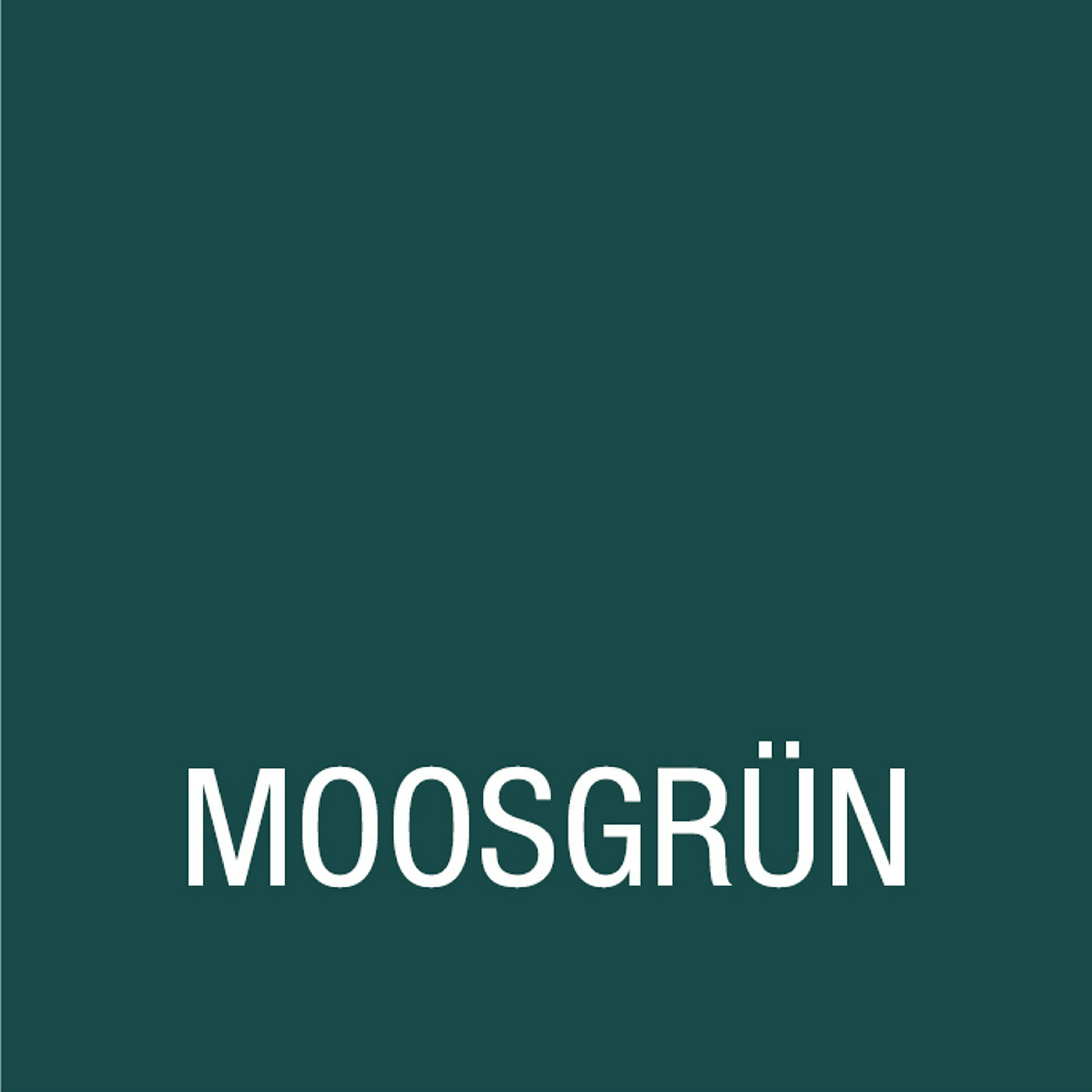 BONDEX Dauerschutz-Farbe Moosgrün 2,50l
