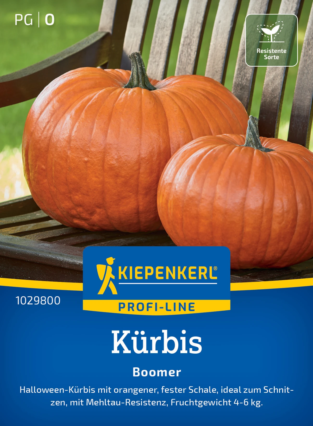Kiepenkerl Kürbis Boomer, F1