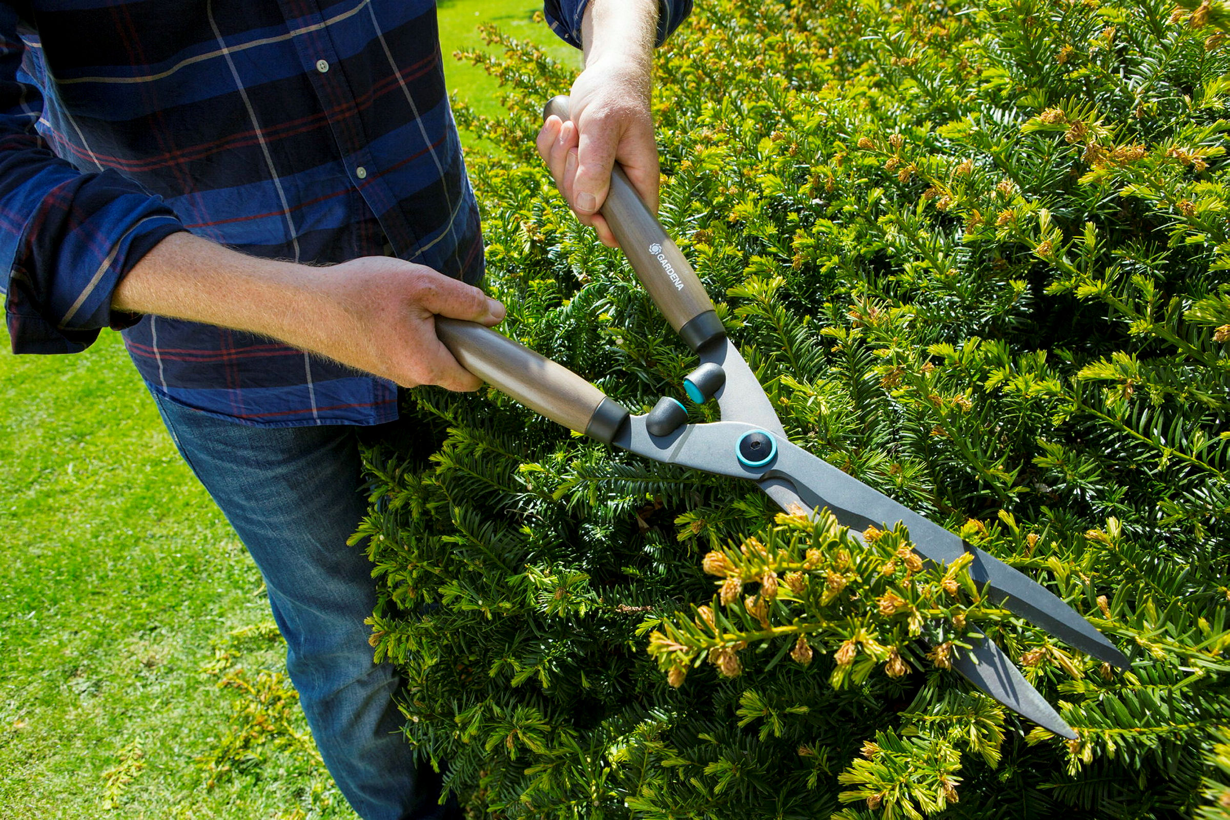 GARDENA Heckenschere NatureCut mit Gartenschere