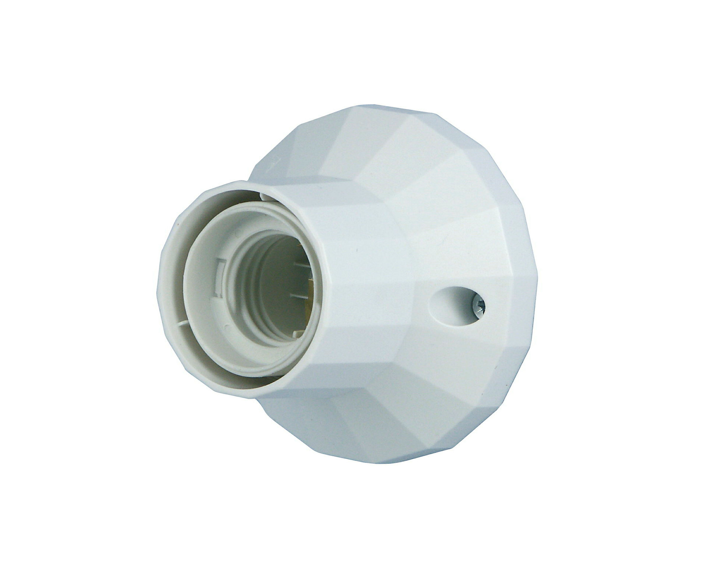 Wand- und Deckenfassung 75W ws