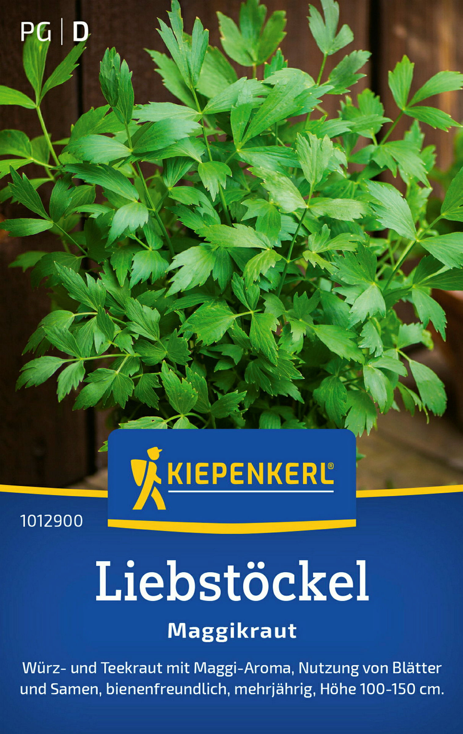 Kiepenkerl Liebstöckel Maggikraut