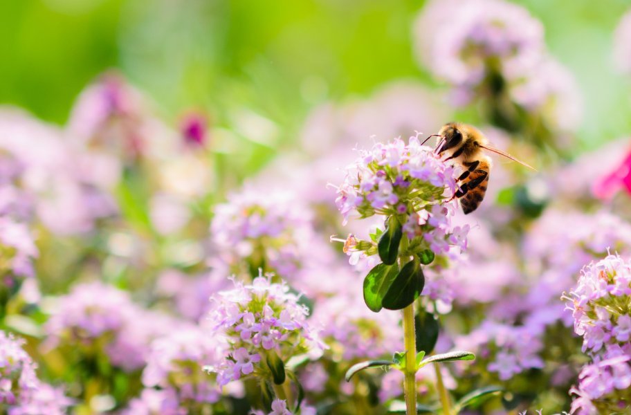 contact image