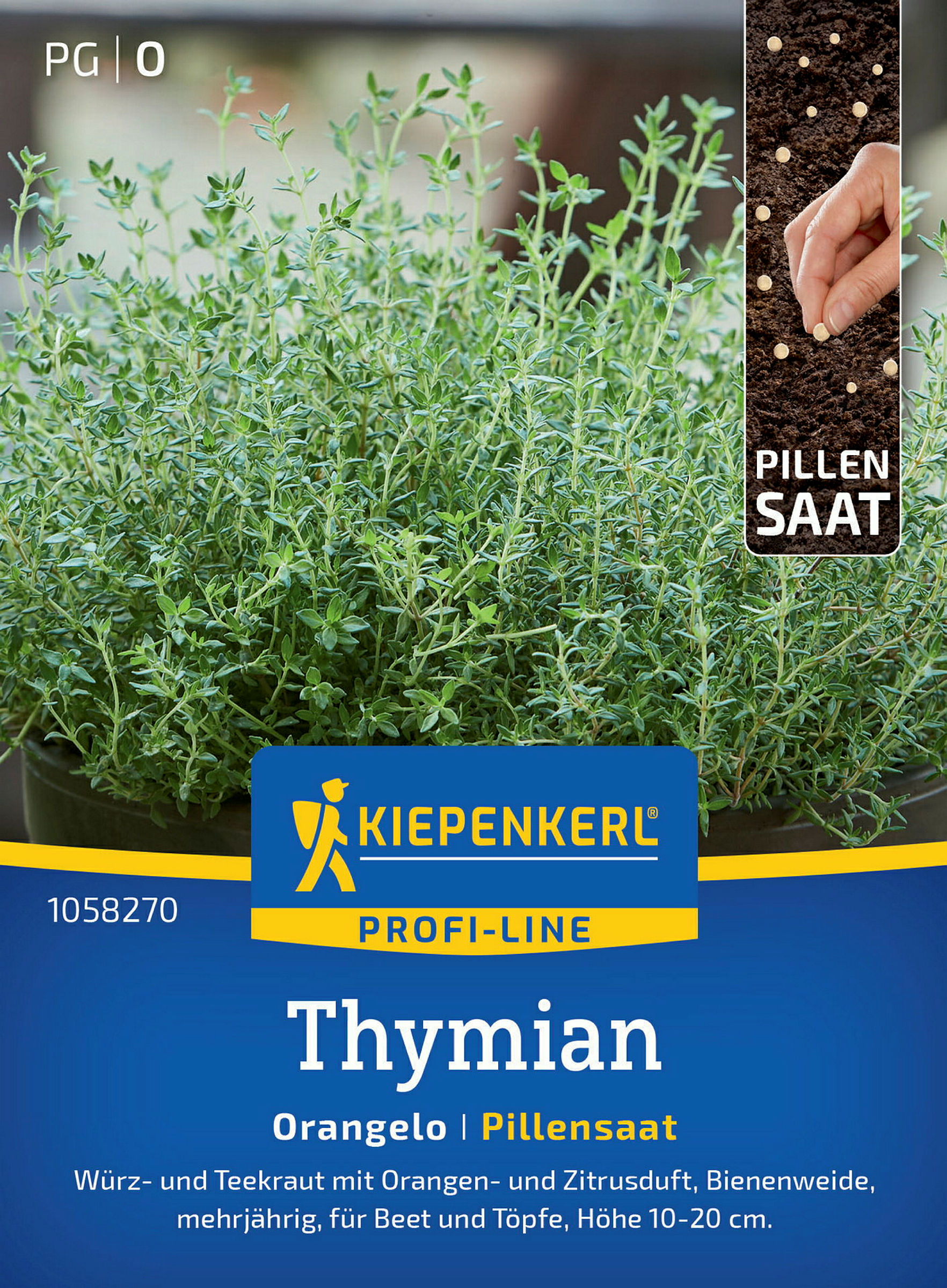 Kiepenkerl Thymian Orangelo, Pillensaat