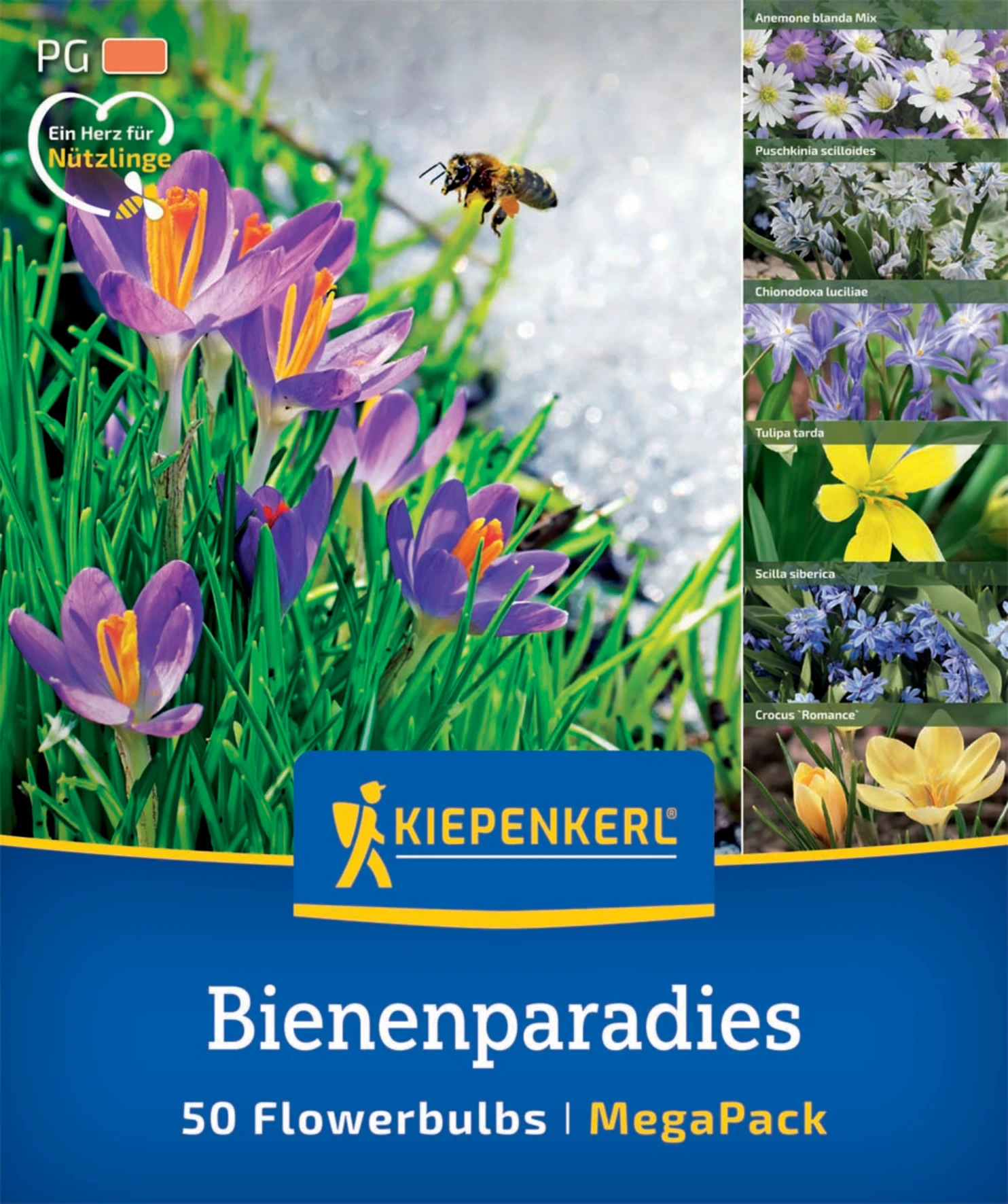 Mega-Pack Blumenzwiebelmischung Bienenparadies