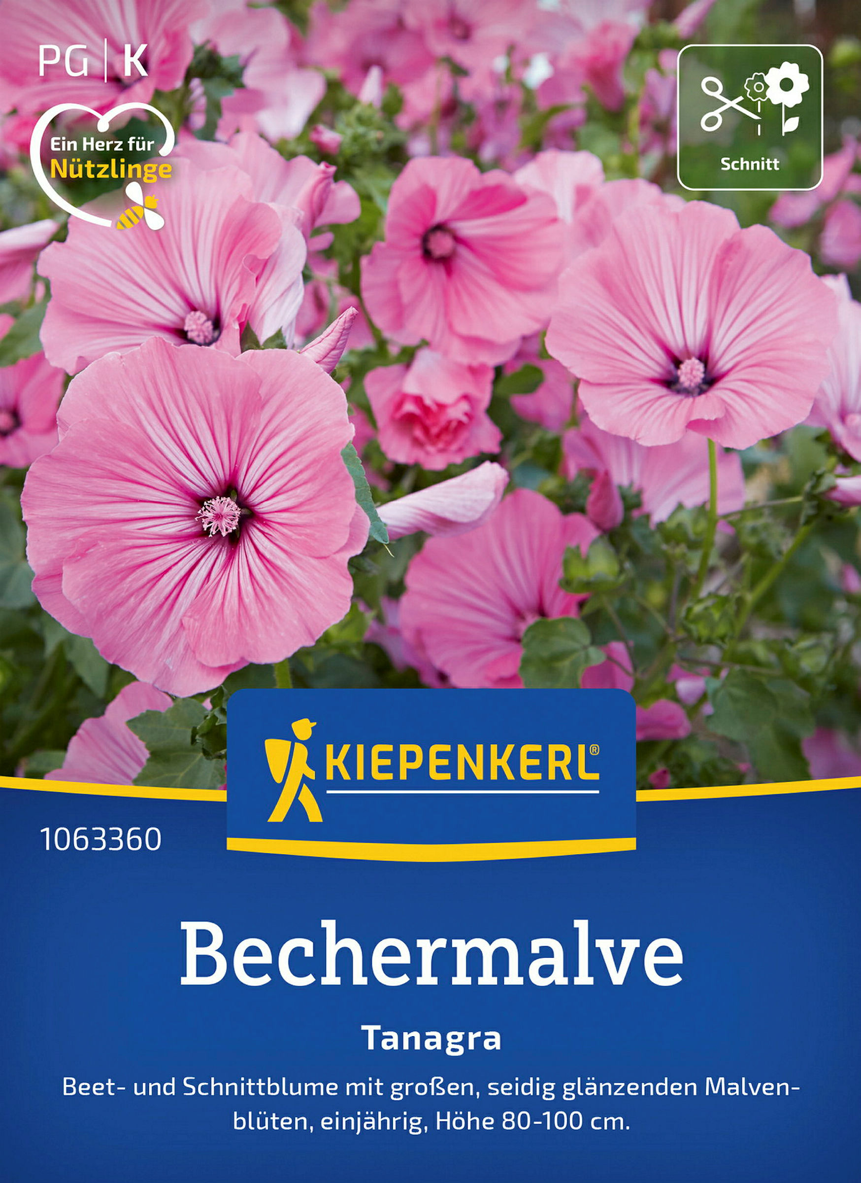 Kiepenkerl Bechermalve Tanagra