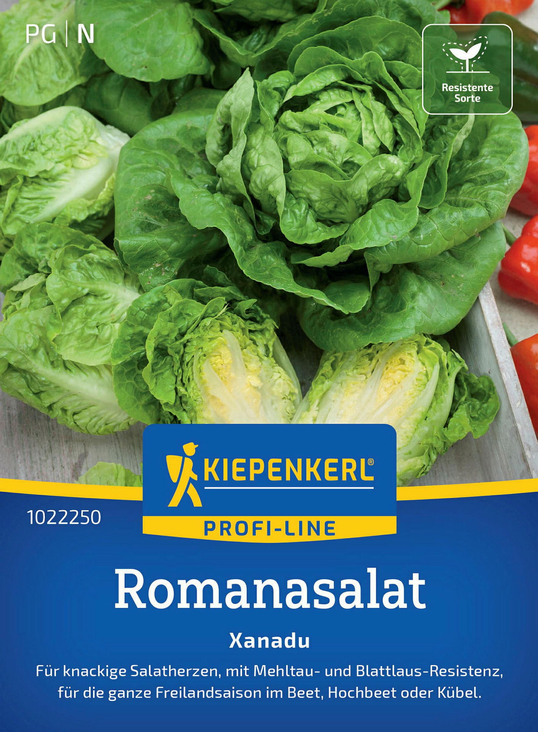 Kiepenkerl Romanasalat Xanadu