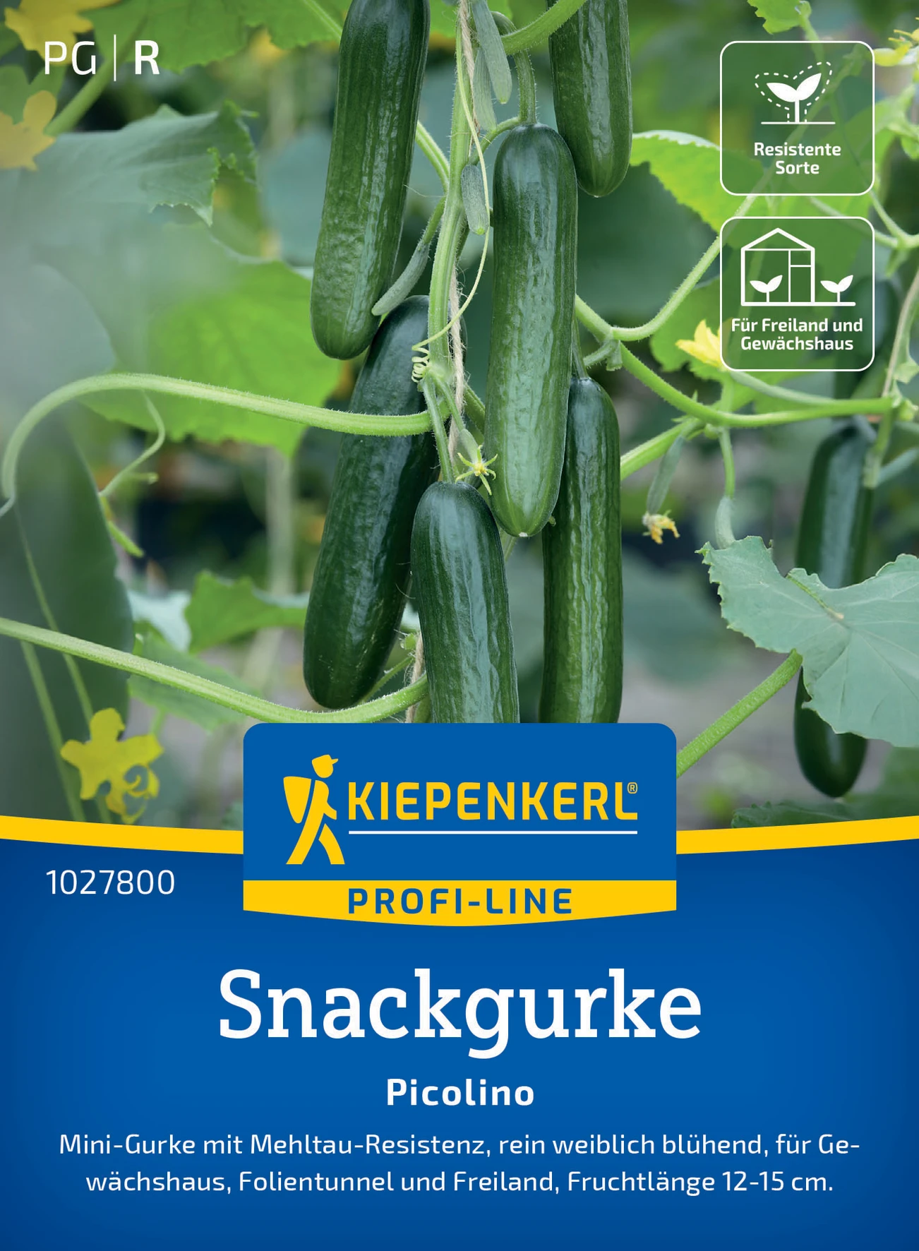 Kiepenkerl Snackgurke Picolino, F1
