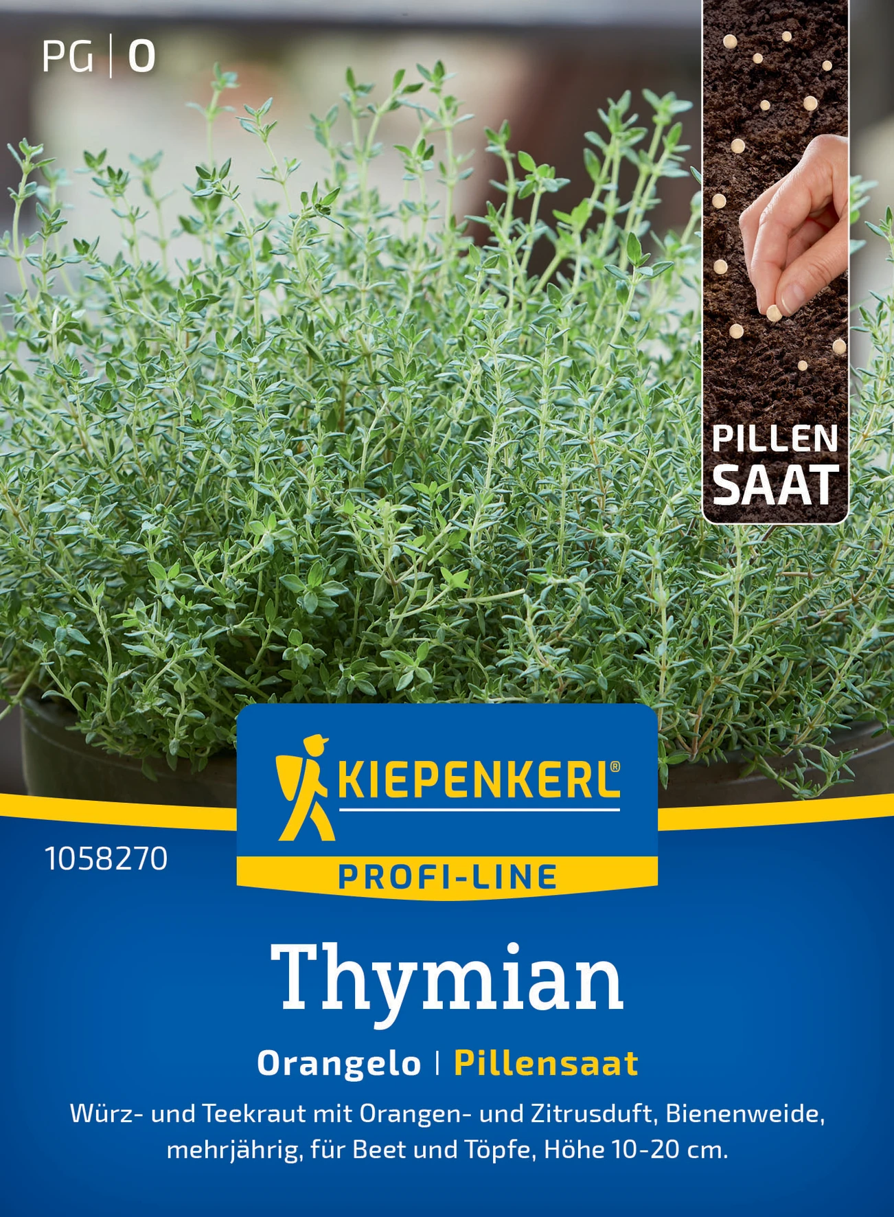 Kiepenkerl Thymian Orangelo, Pillensaat
