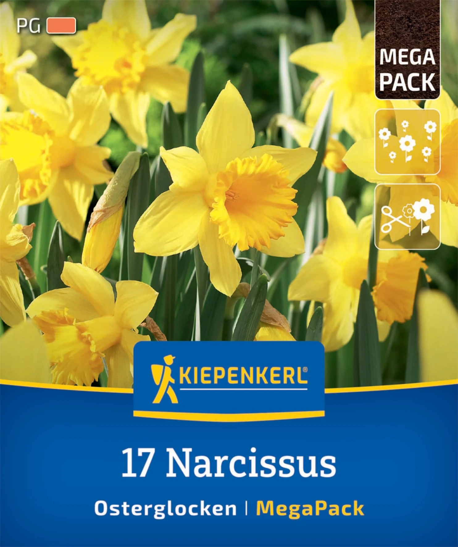 Mega-Pack Osterglocken