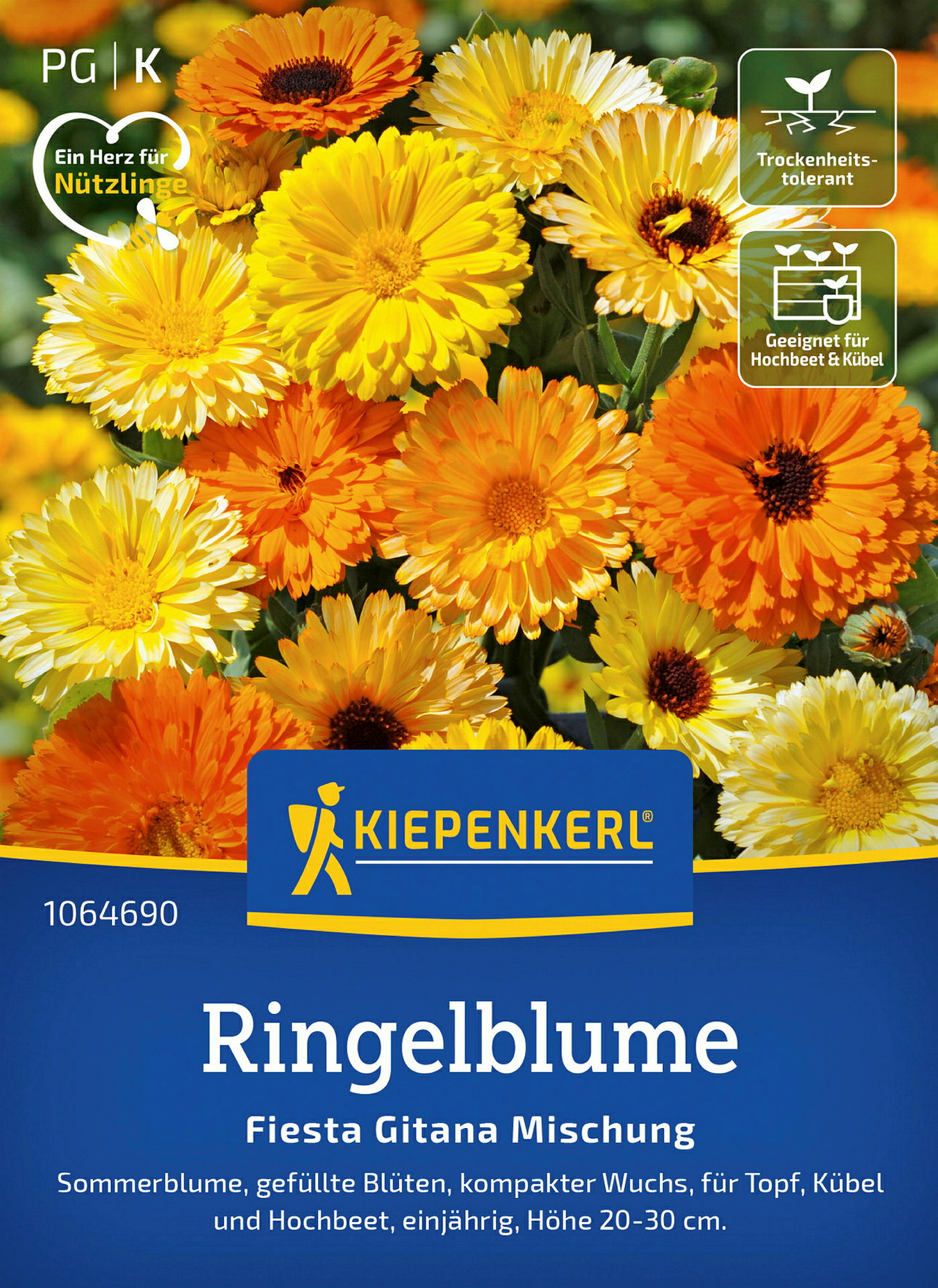 Kiepenkerl Ringelblume Fiesta Gitana Mischung