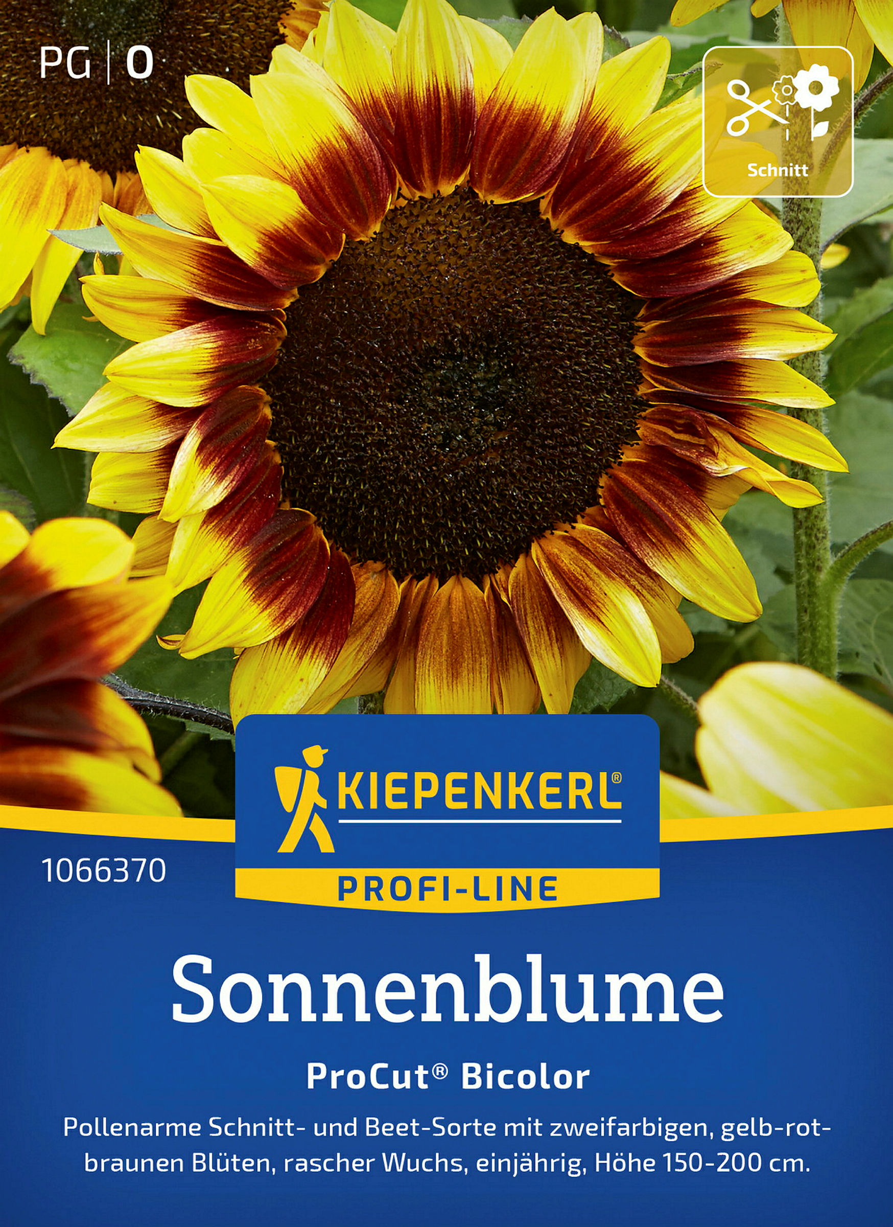 Kiepenkerl Sonnenblume ProCut® Bicolor, F1